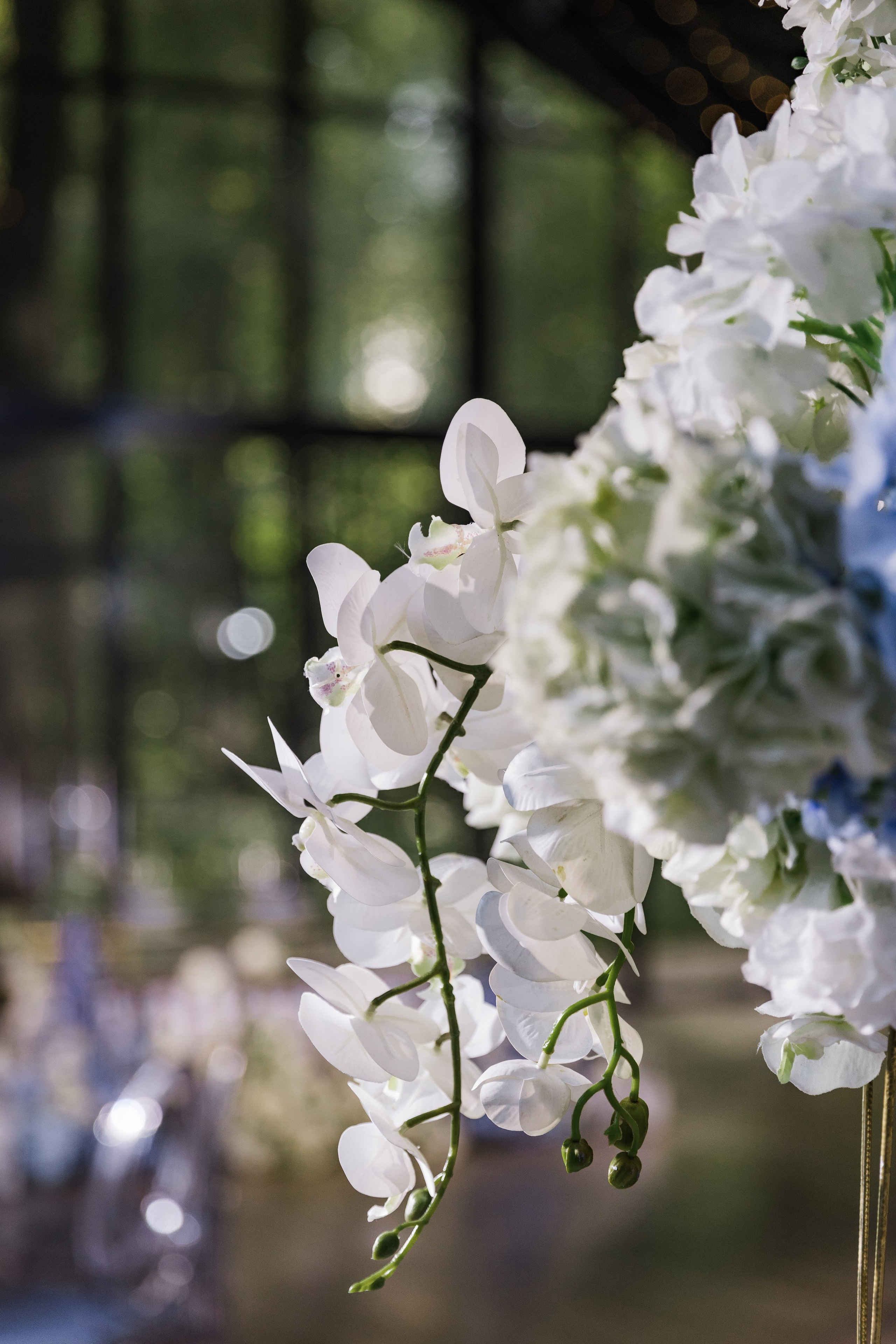 Veronika&Nikita. Валерия Солнцева свадебный и семейный фотограф