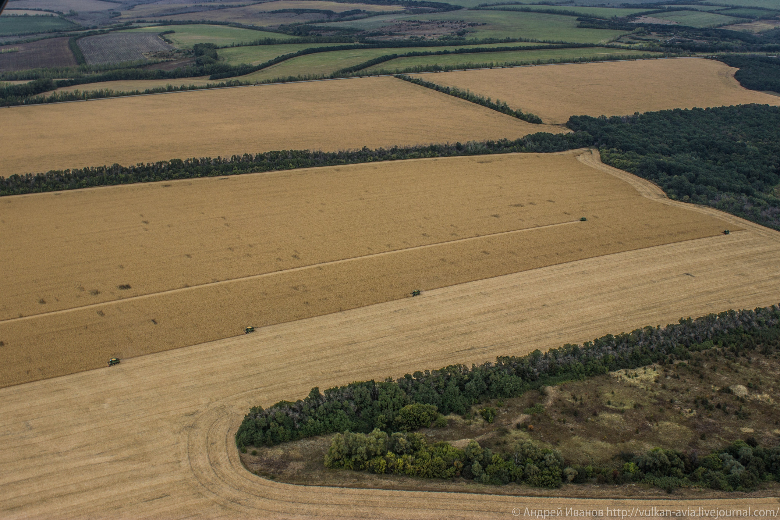 Волгодонск аэр. Потапов слёт «Небо для всех» (2021 г.). Фотоальбом показывающий увлекательный мир авиации и мир медведей Андрея Иванова