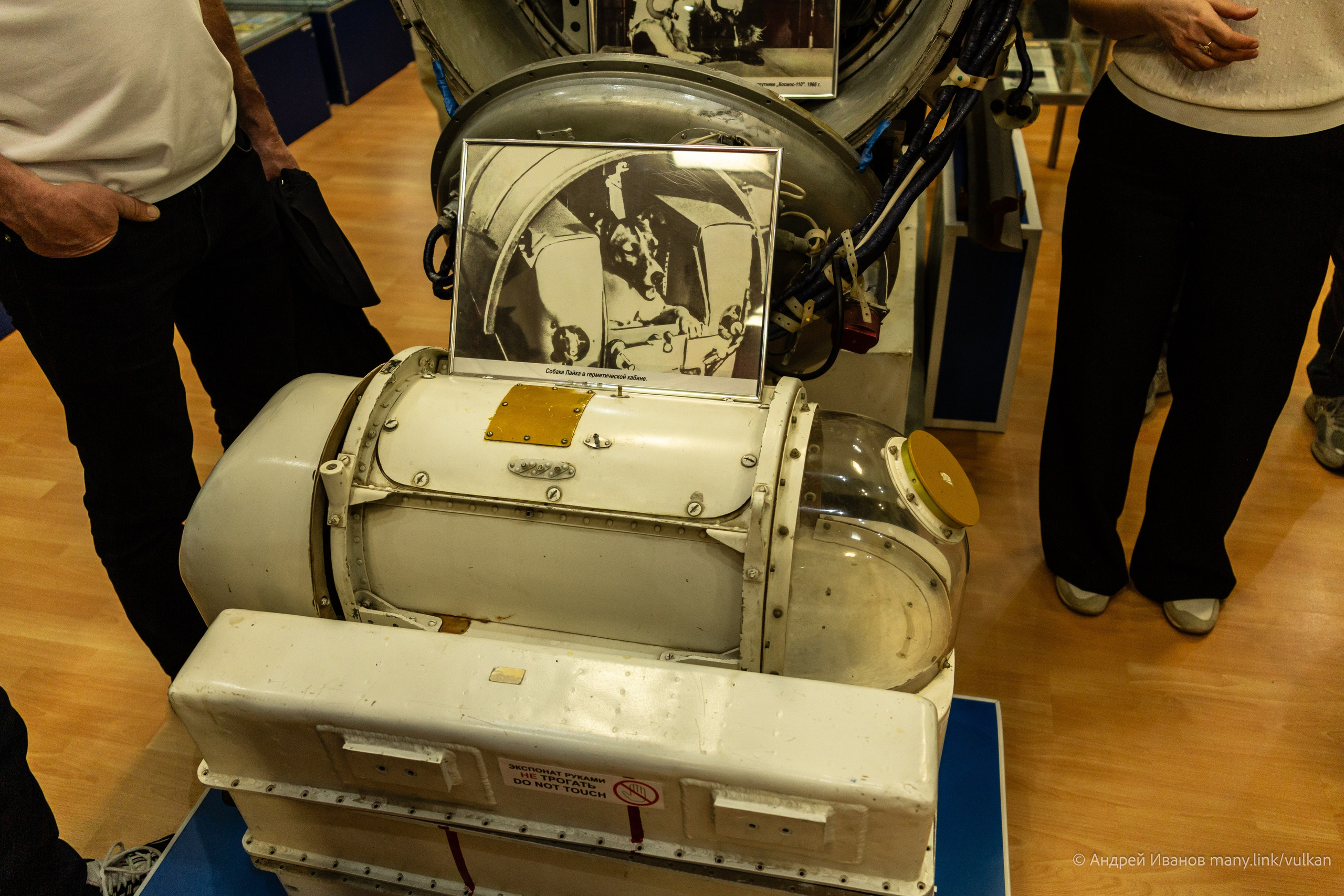 Перелёт на Байконур в 2026 г на самолётах АОН. Фотоальбом показывающий увлекательный мир авиации и мир медведей Андрея Иванова