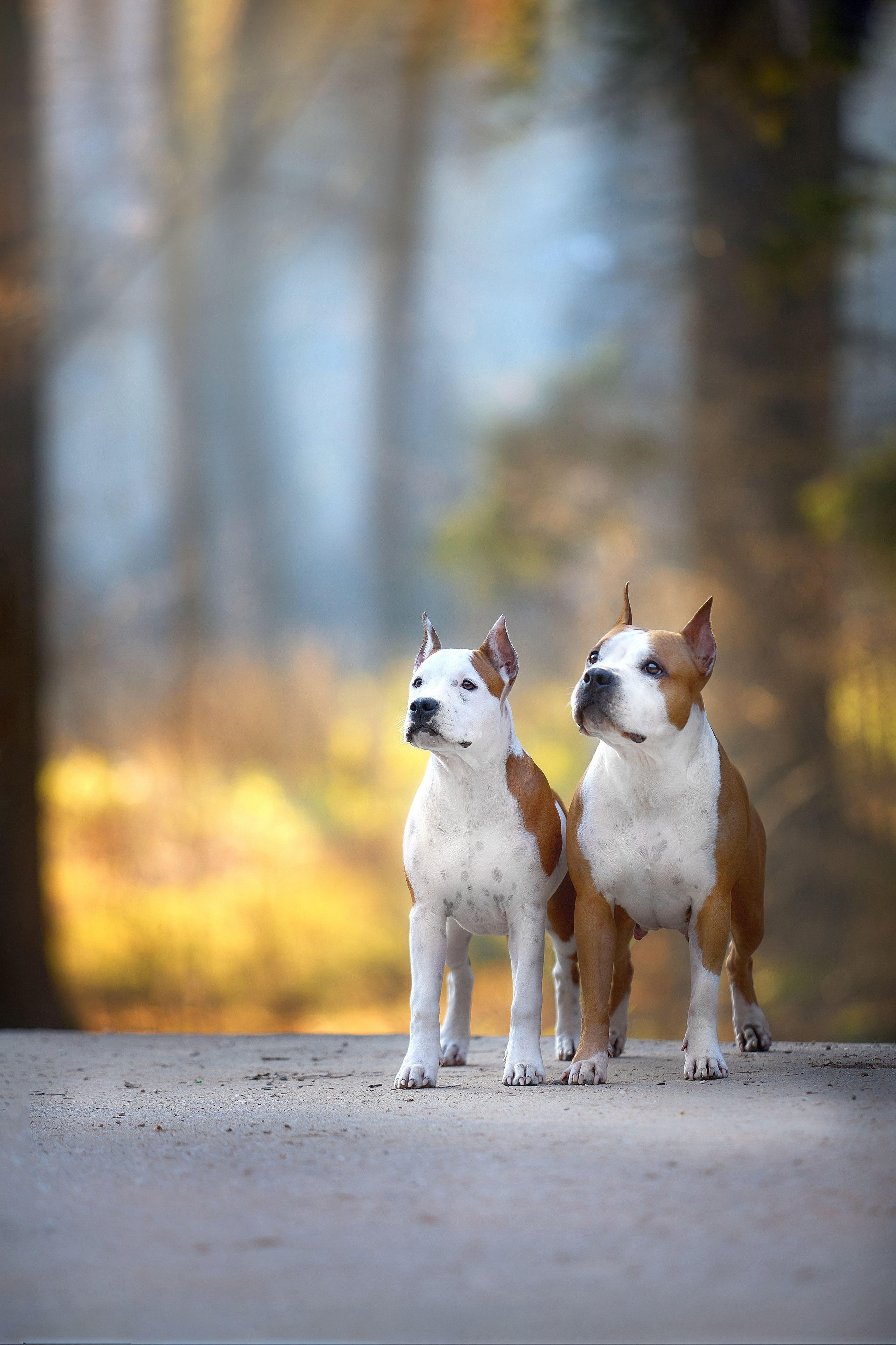 Фотограф-анималист в Москве Евгения Старостина