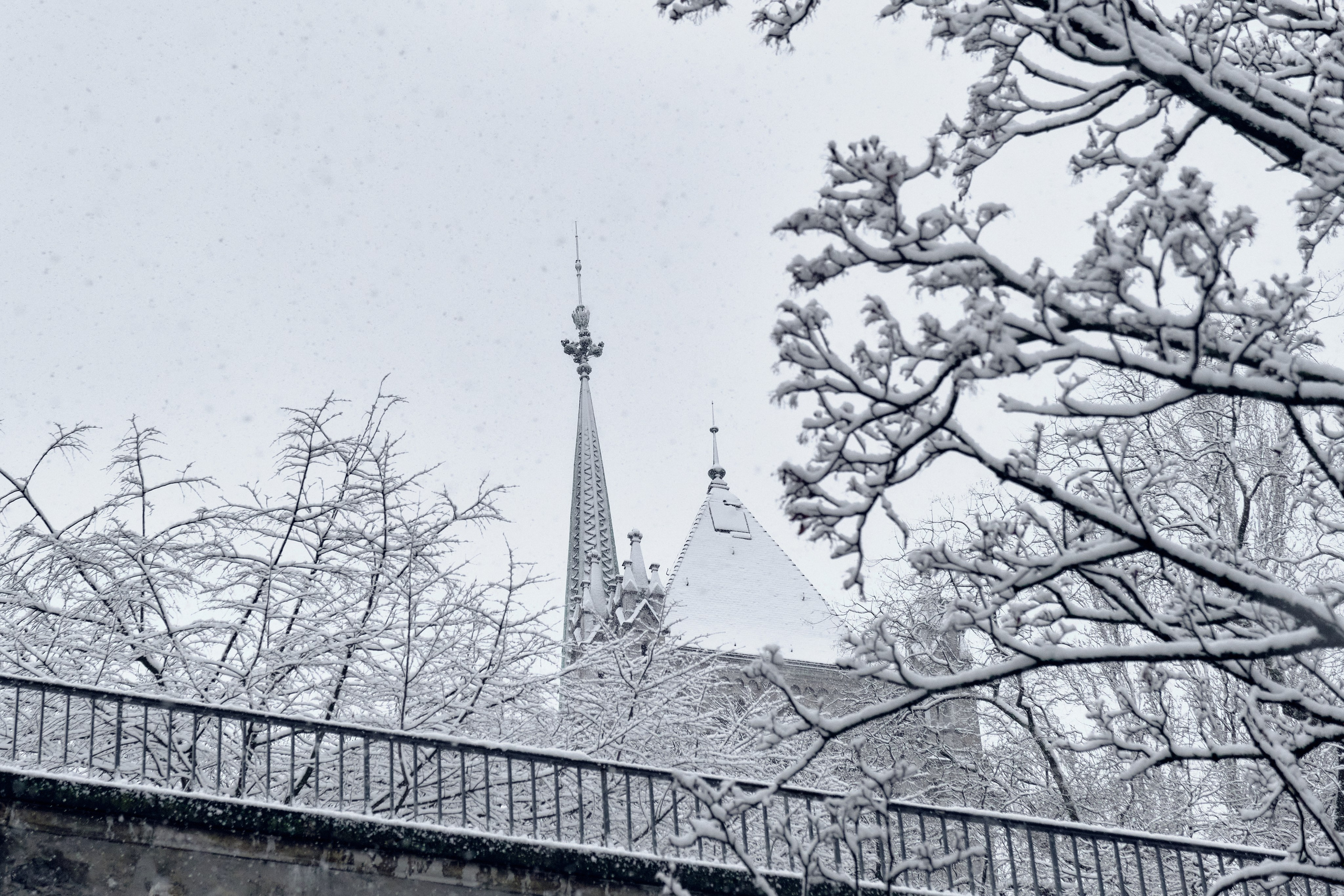 Geneva / winter 2024. Aleksandr Kobtsev