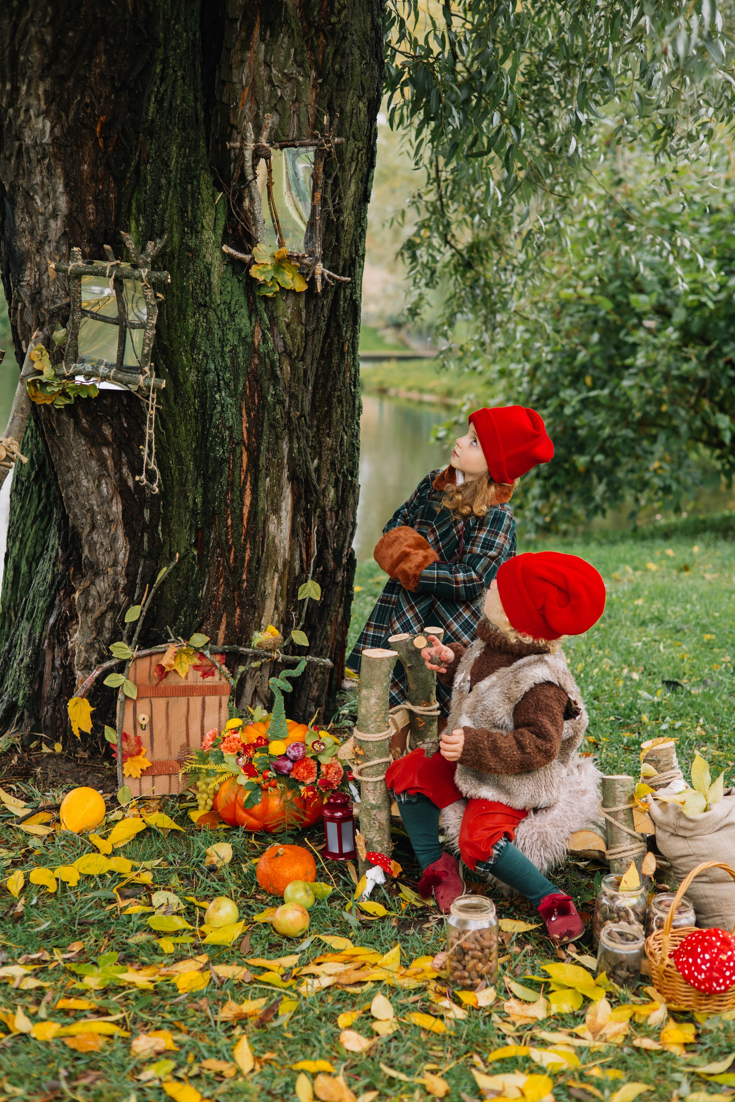 Гномики. Фотография с любовью от Людмилы Луценко