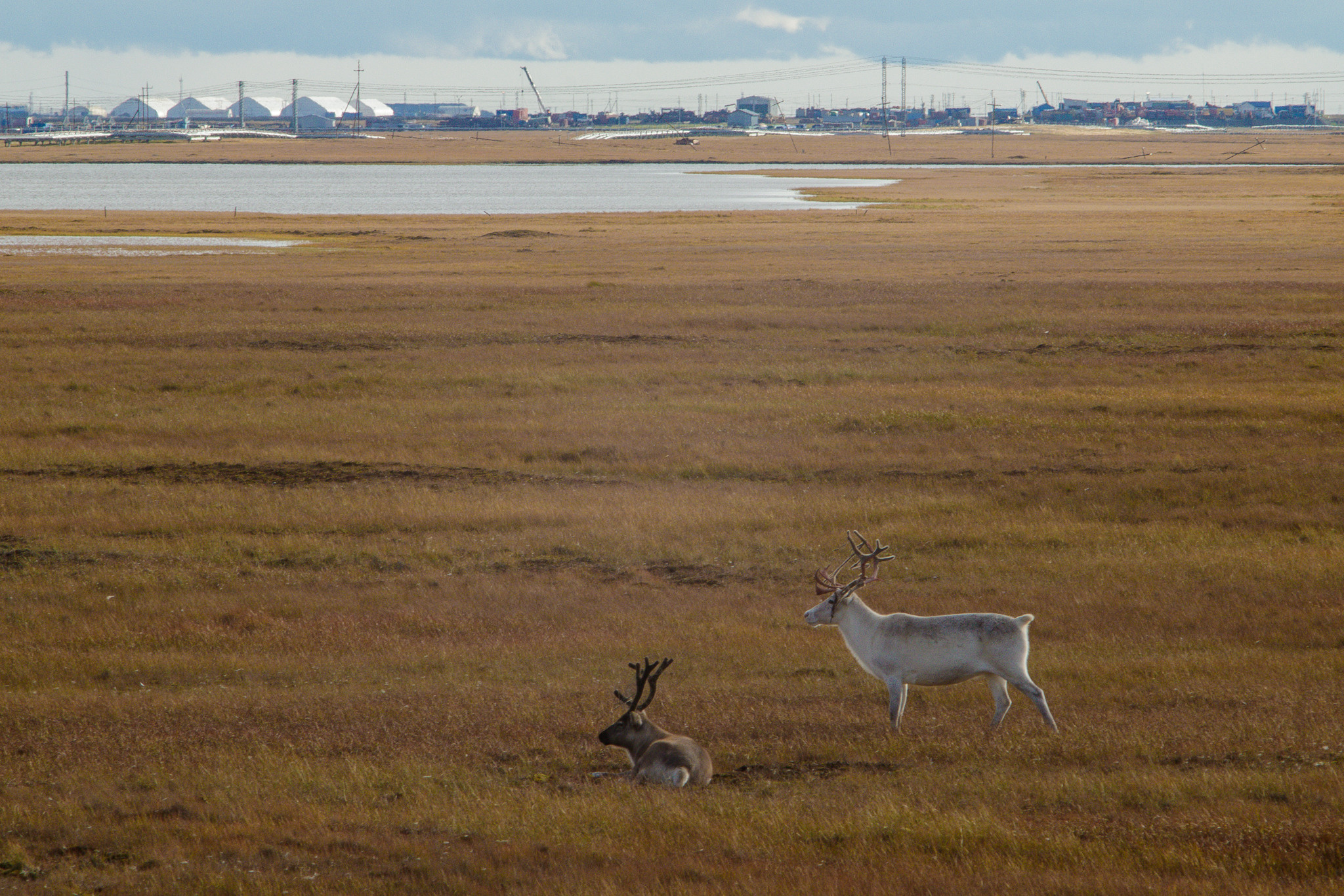 Природа. Репортажный фотограф в Самаре