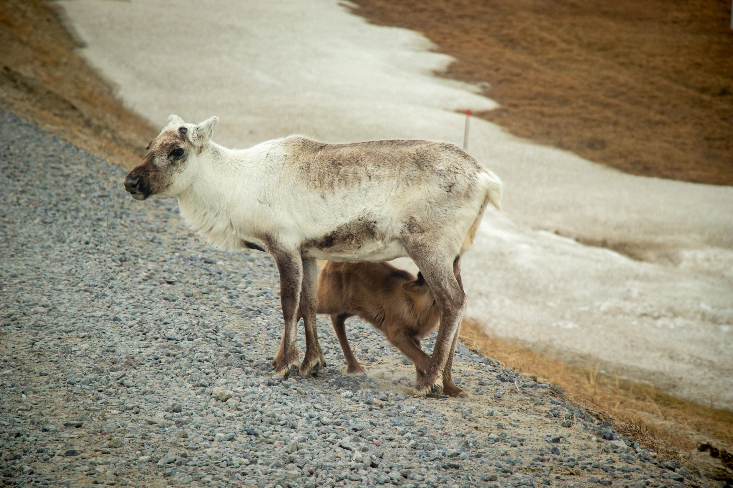 Природа. Репортажный фотограф в Самаре