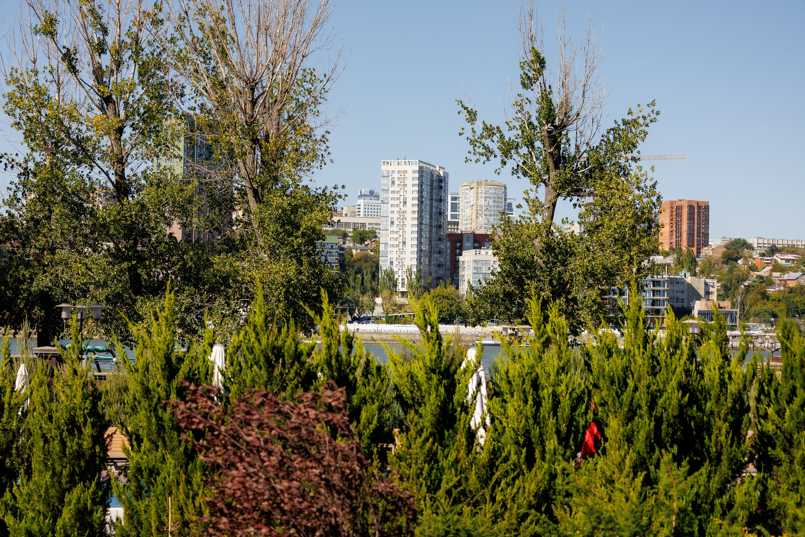 Фотосессия на день рождения Праздничная съемка от профессионального фотографа. Красильников Евгений — профессиональный фотограф в Ростове-на-Дону