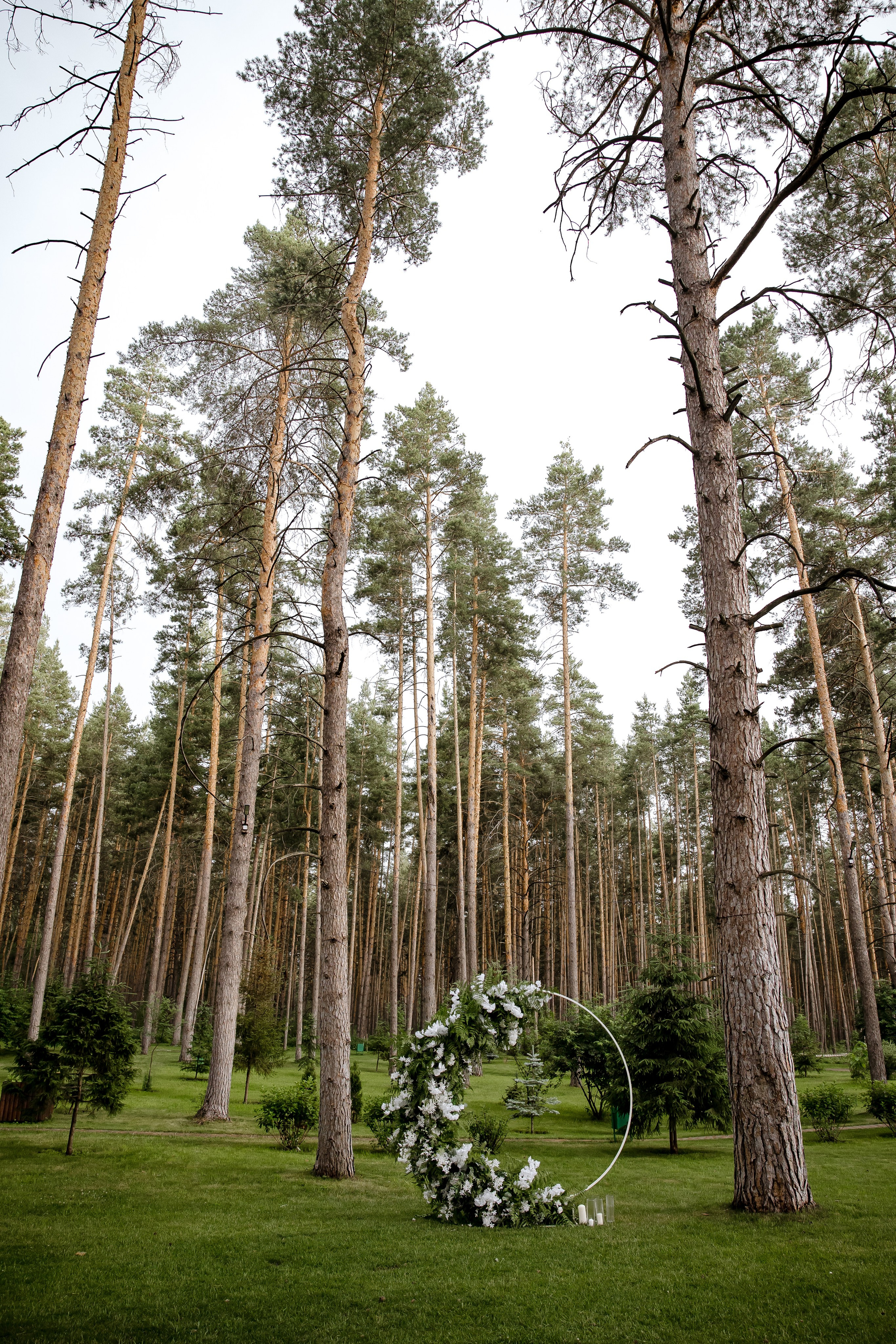 T&A. Свадебный и семейный фотограф в Самаре и Тольятти | Елена Топанцева