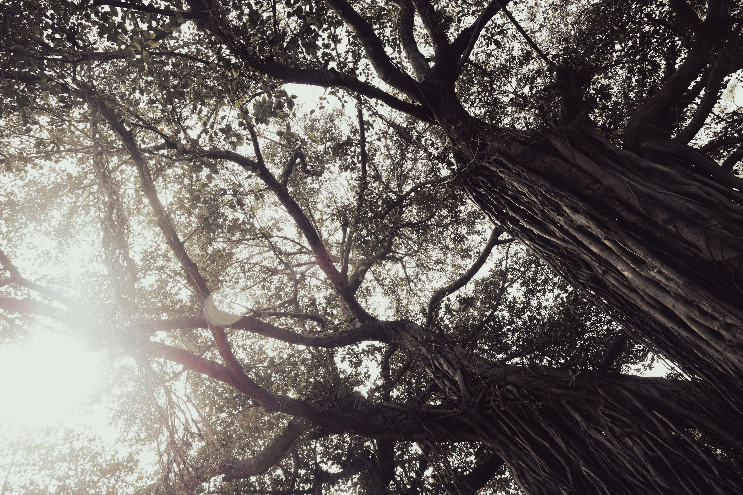 India. Фотограф в Москве