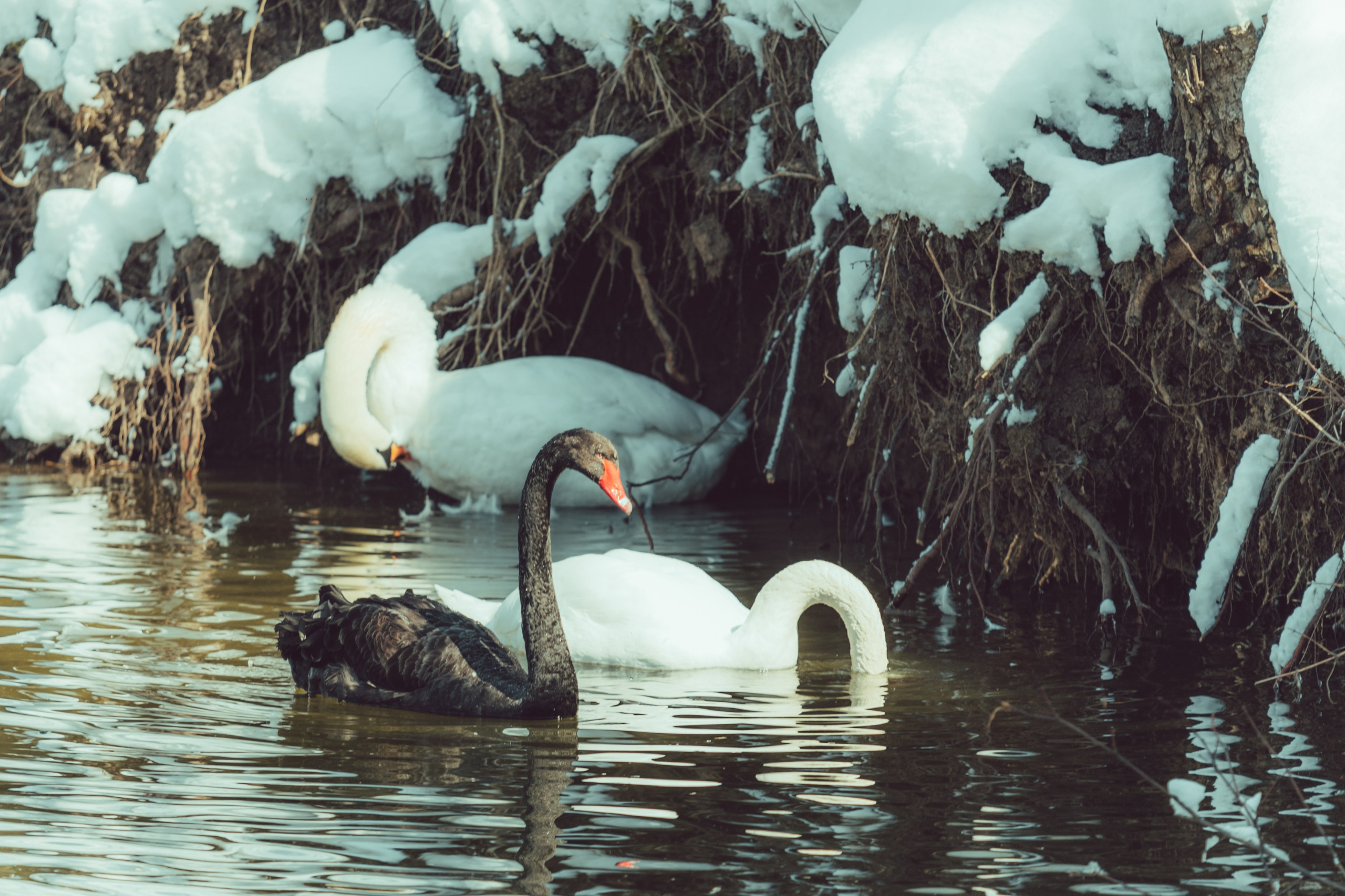 Стрит 2025. KiPPER Gallery — Фотограф