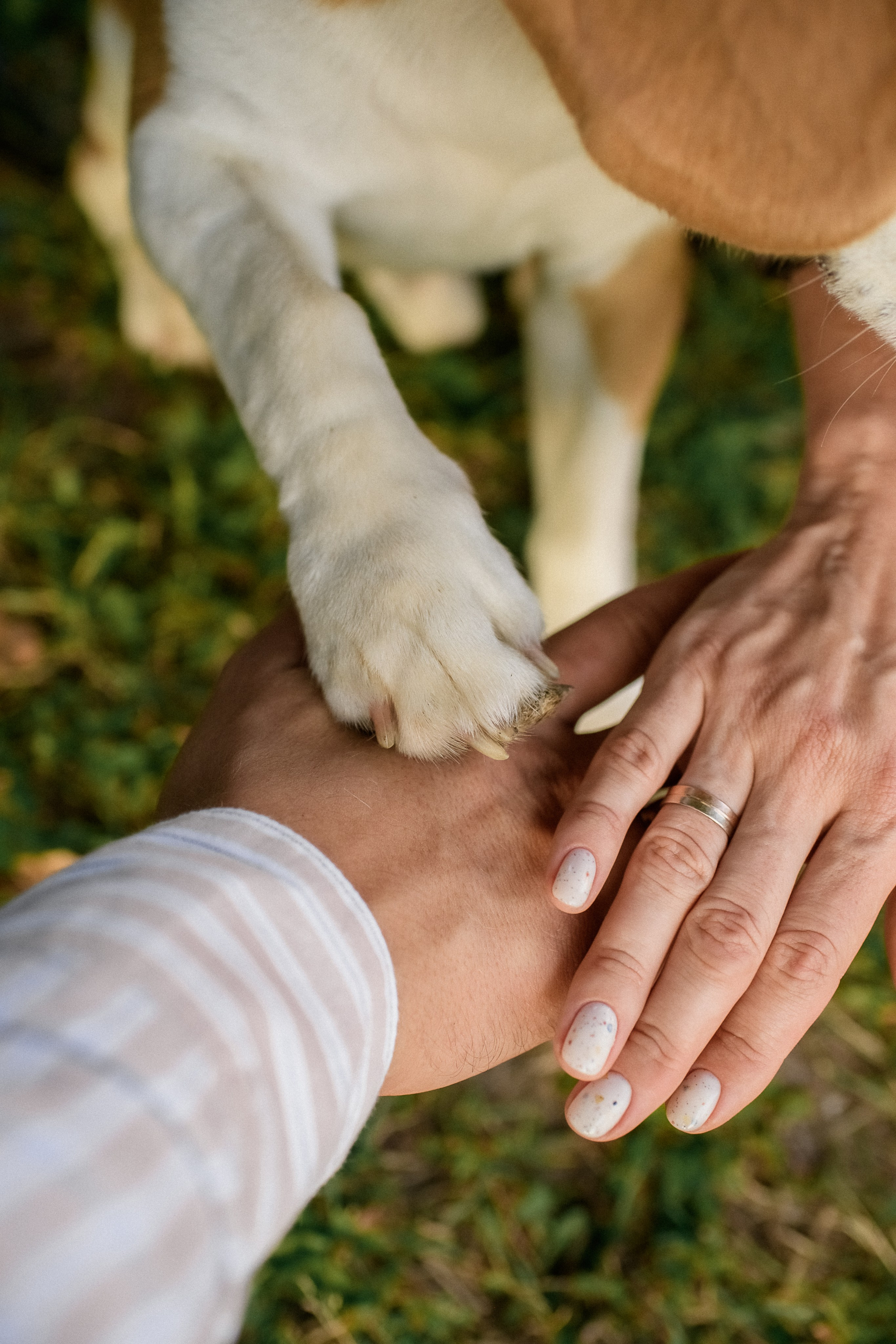 Дарья, Илья и Гатти. Семейный и детский фотограф Смоленск