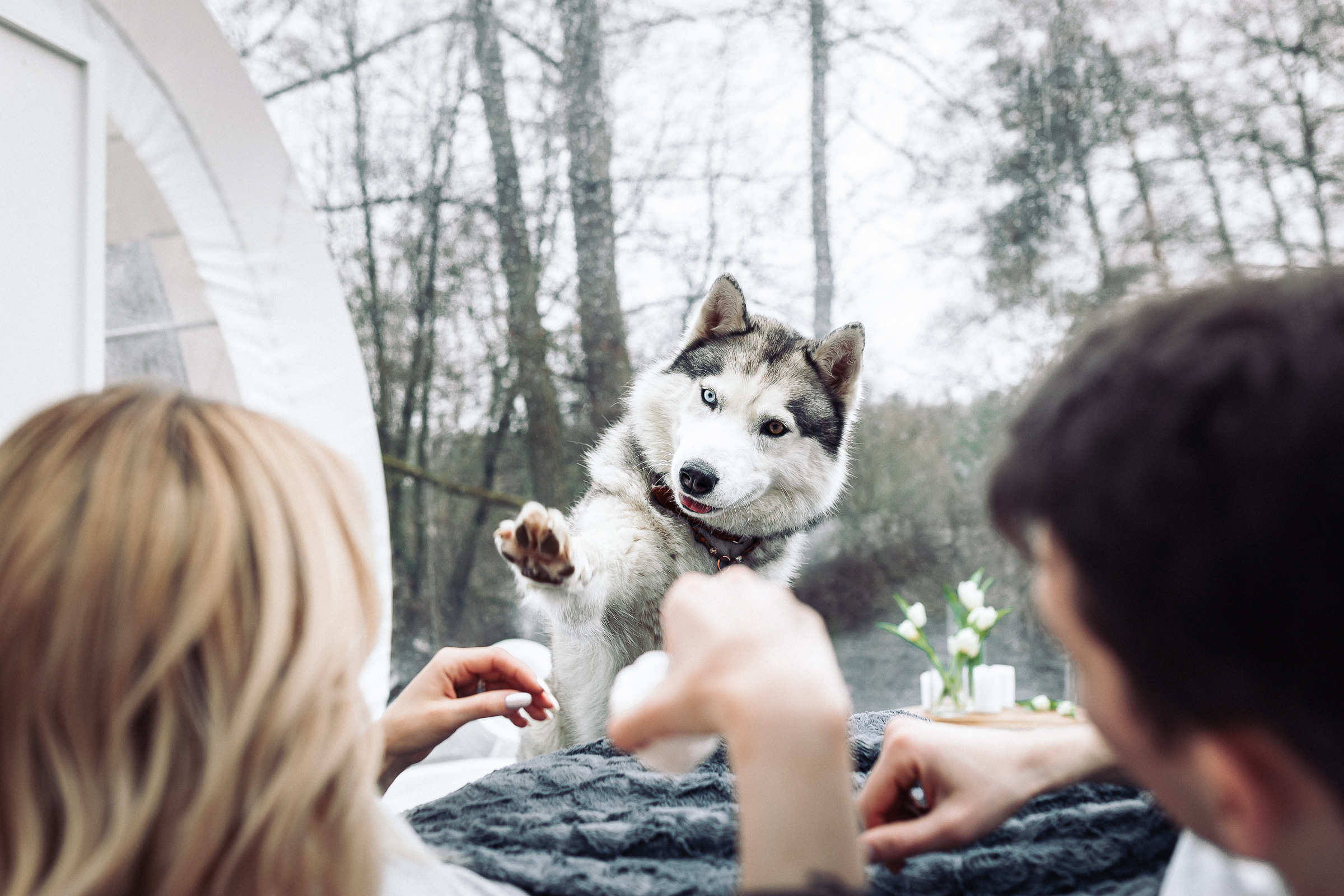 Наталья и Олег. Свадебный, семейный фотограф Беларусь