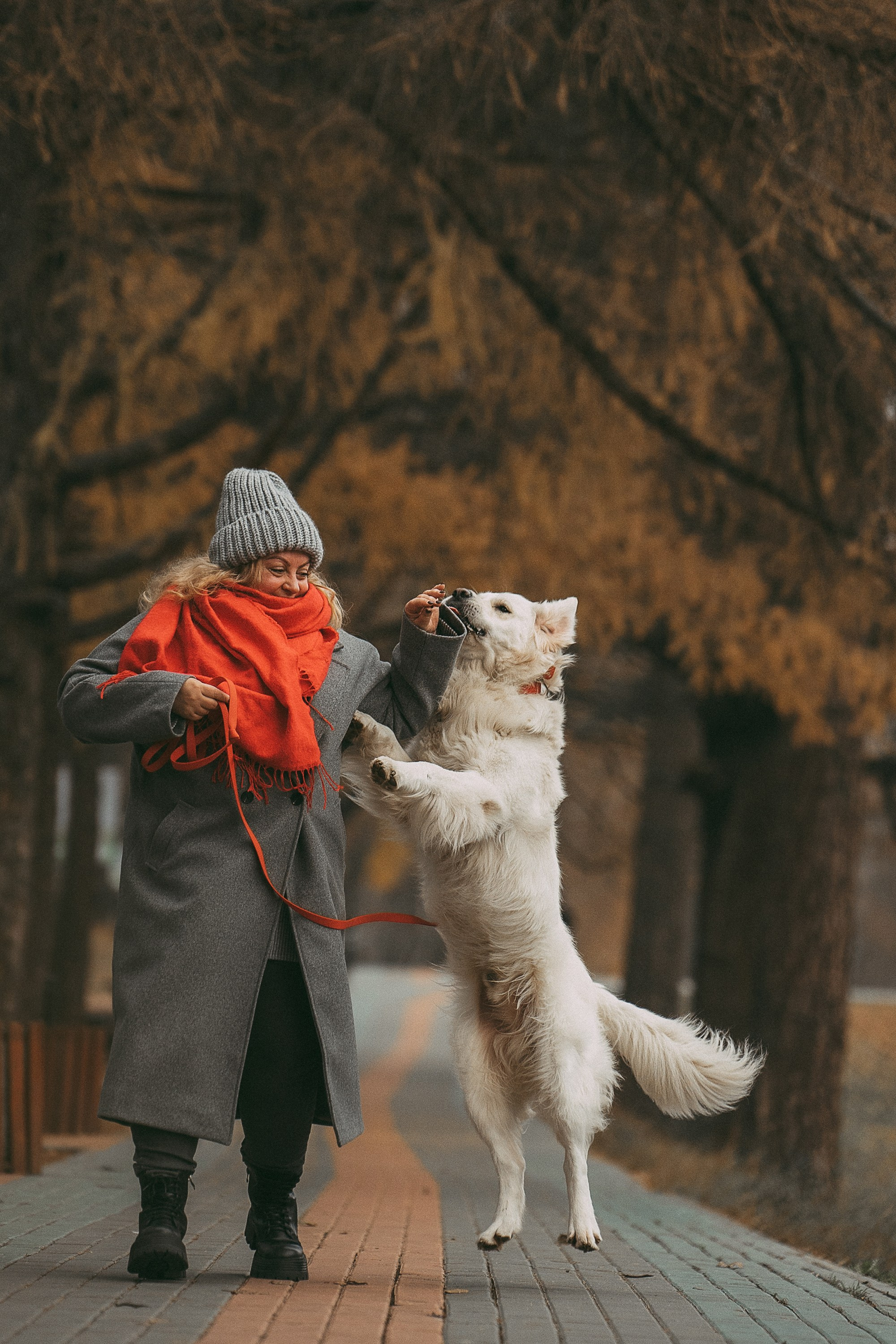 Лена и Мерлин. Фотограф анималист в Москве и Санкт-Петербурге Свиридова Анна