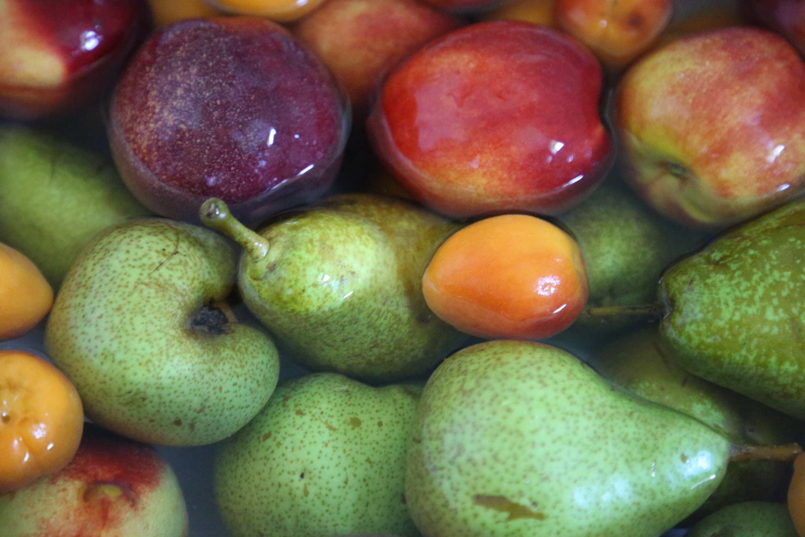 Esmoriz, Portugal. Andrey Filippov Photographer