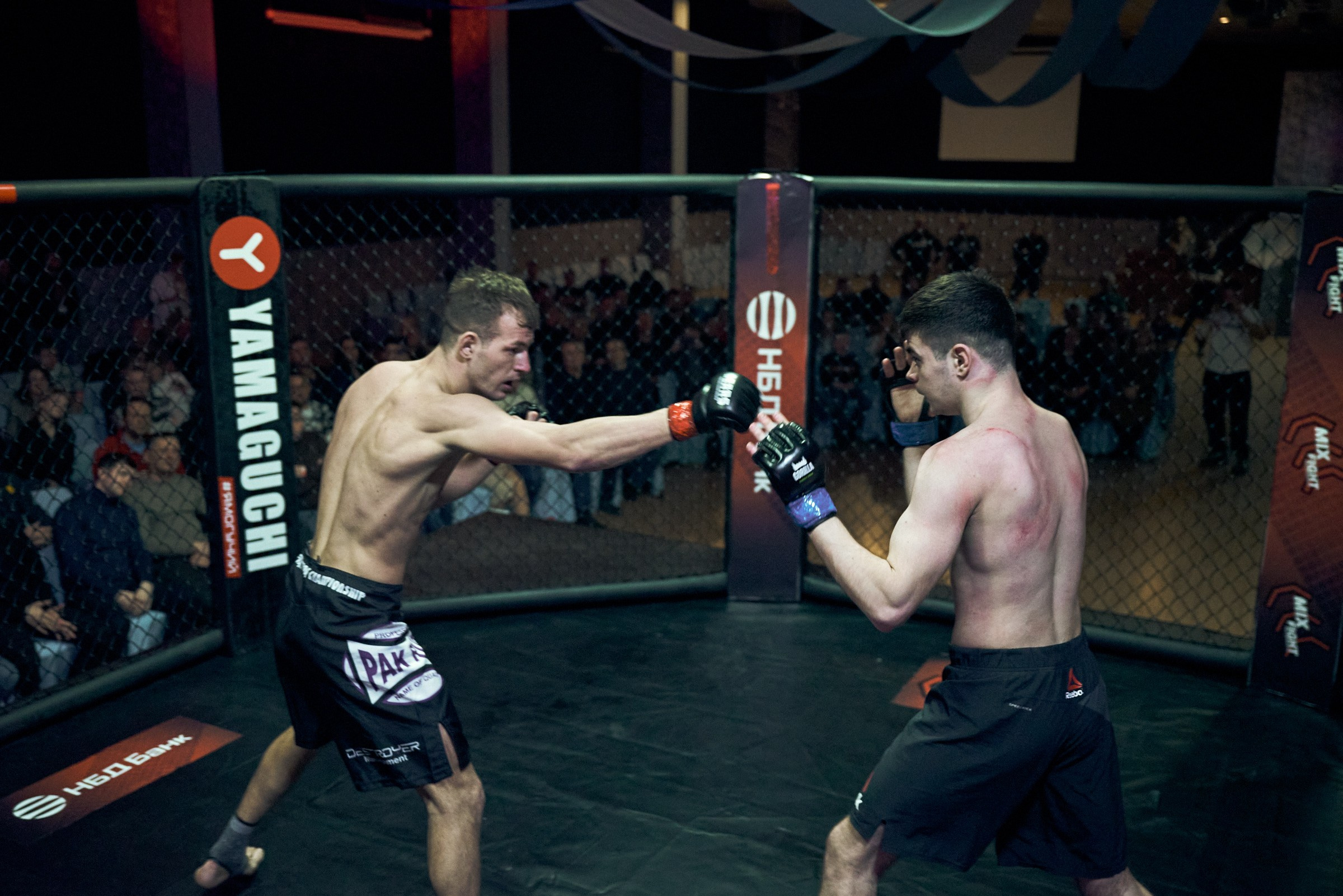 Бои. Маляревич Дмитрий свадебный фотограф