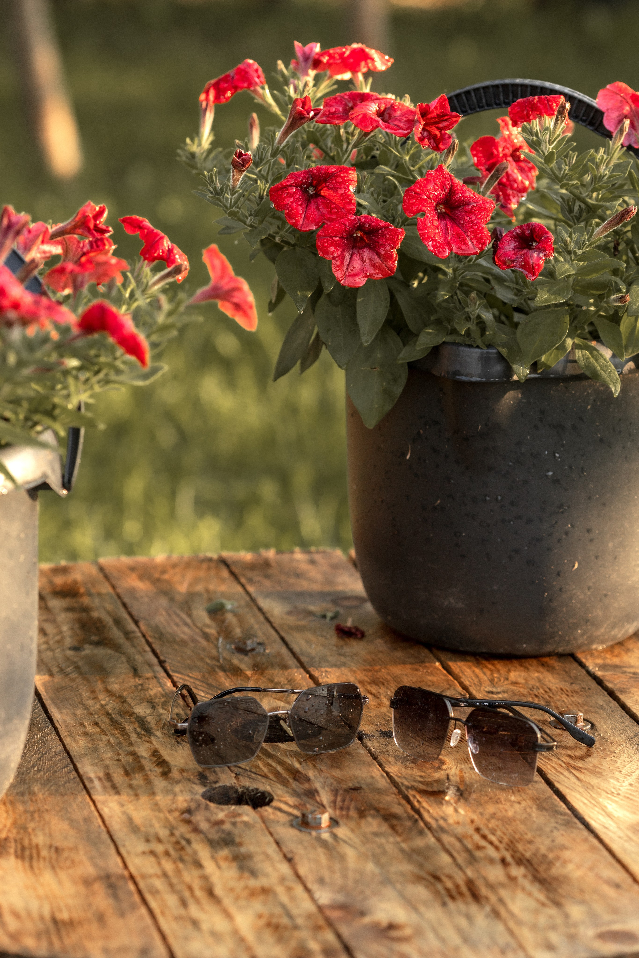 Ярослав & Юля. Семейный фотограф Вита Лифанова Брянск LifeStyle