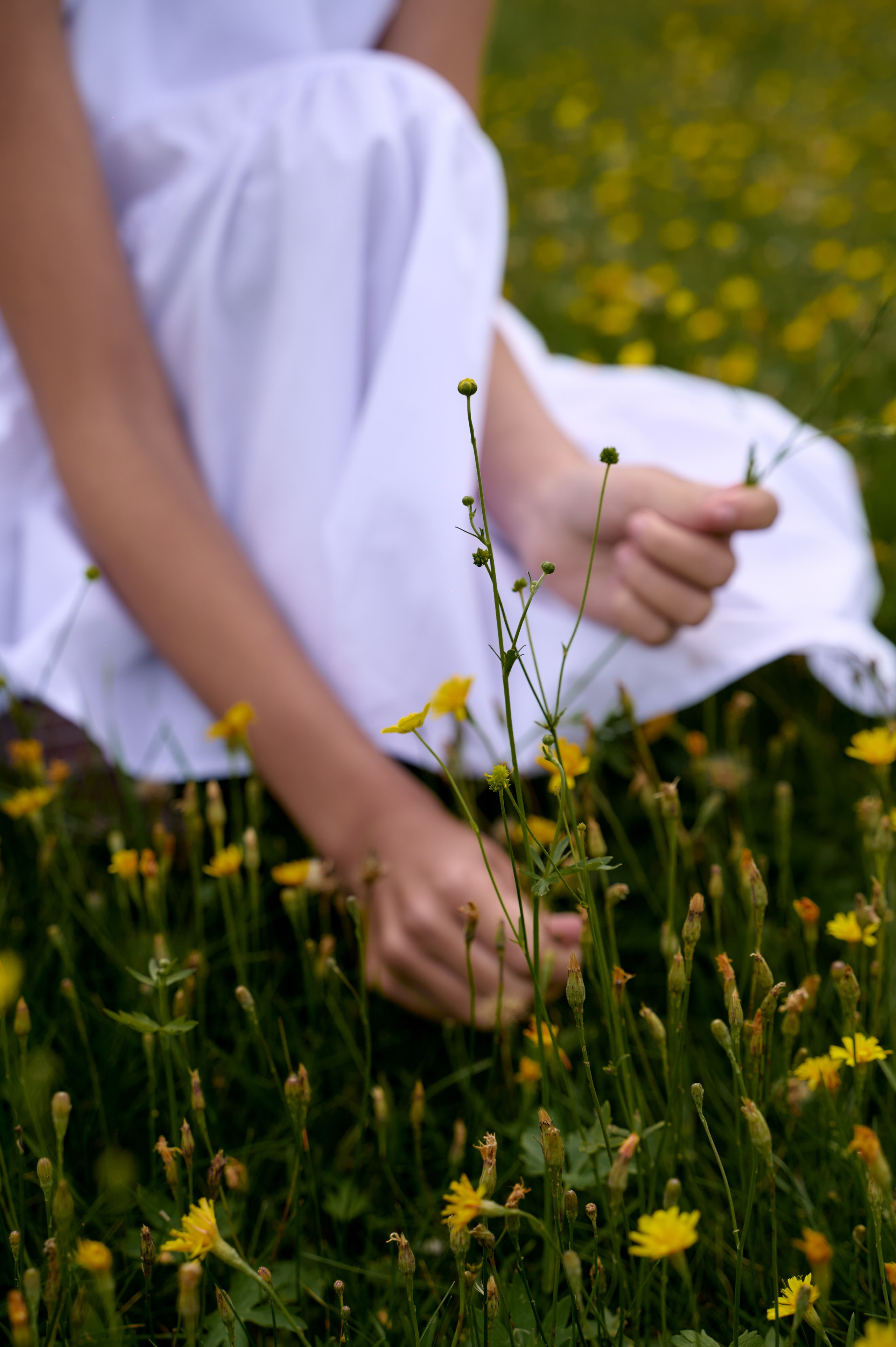 День рождение Милены. Фотограф Егорьевск Коломна Воскресенск
