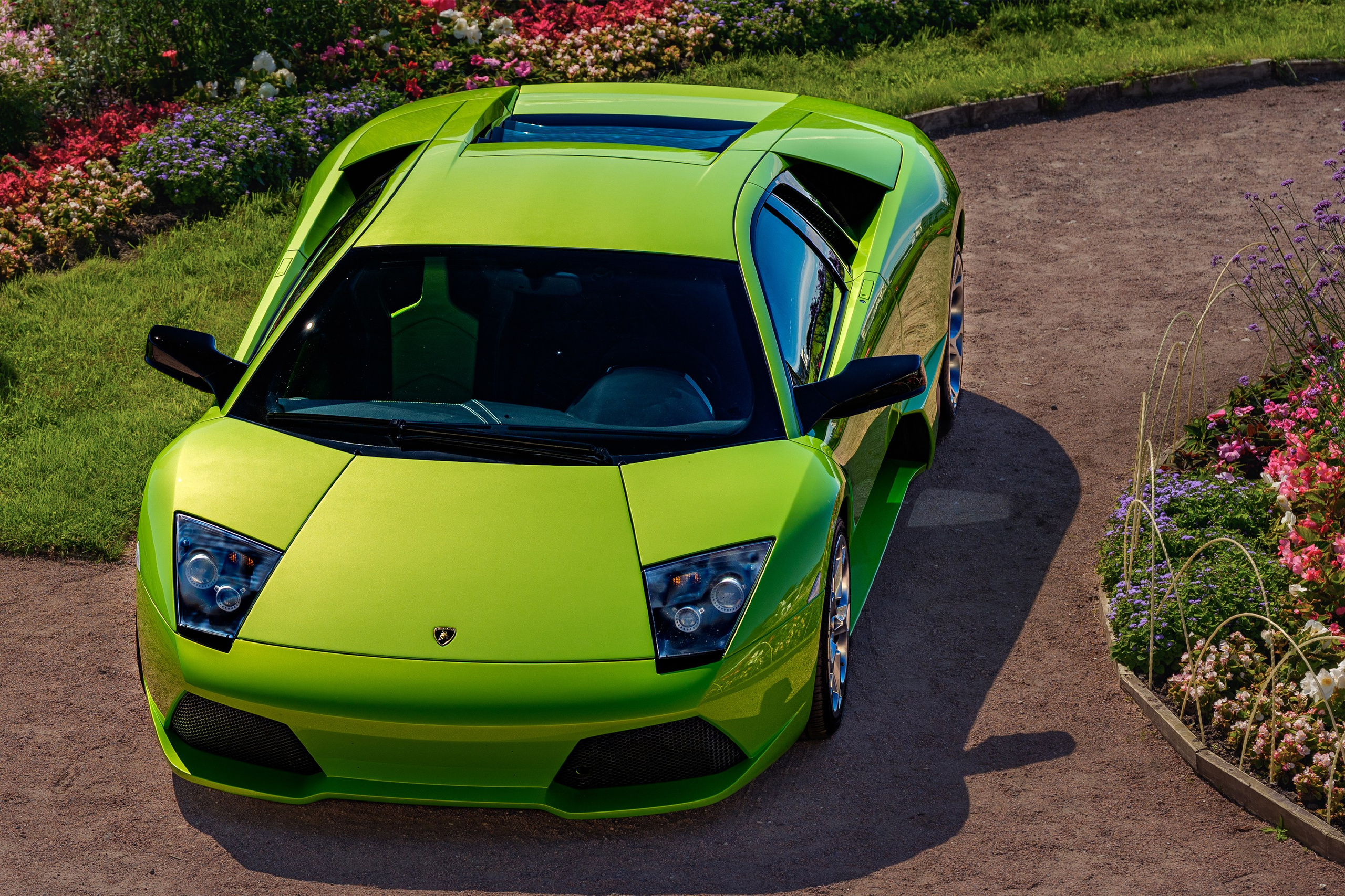 Фотосъёмка Lamborghini Murciélago LP640: зелёный спорткар, верхний ракурс, кузов и линии автомобиля в парковой локации.