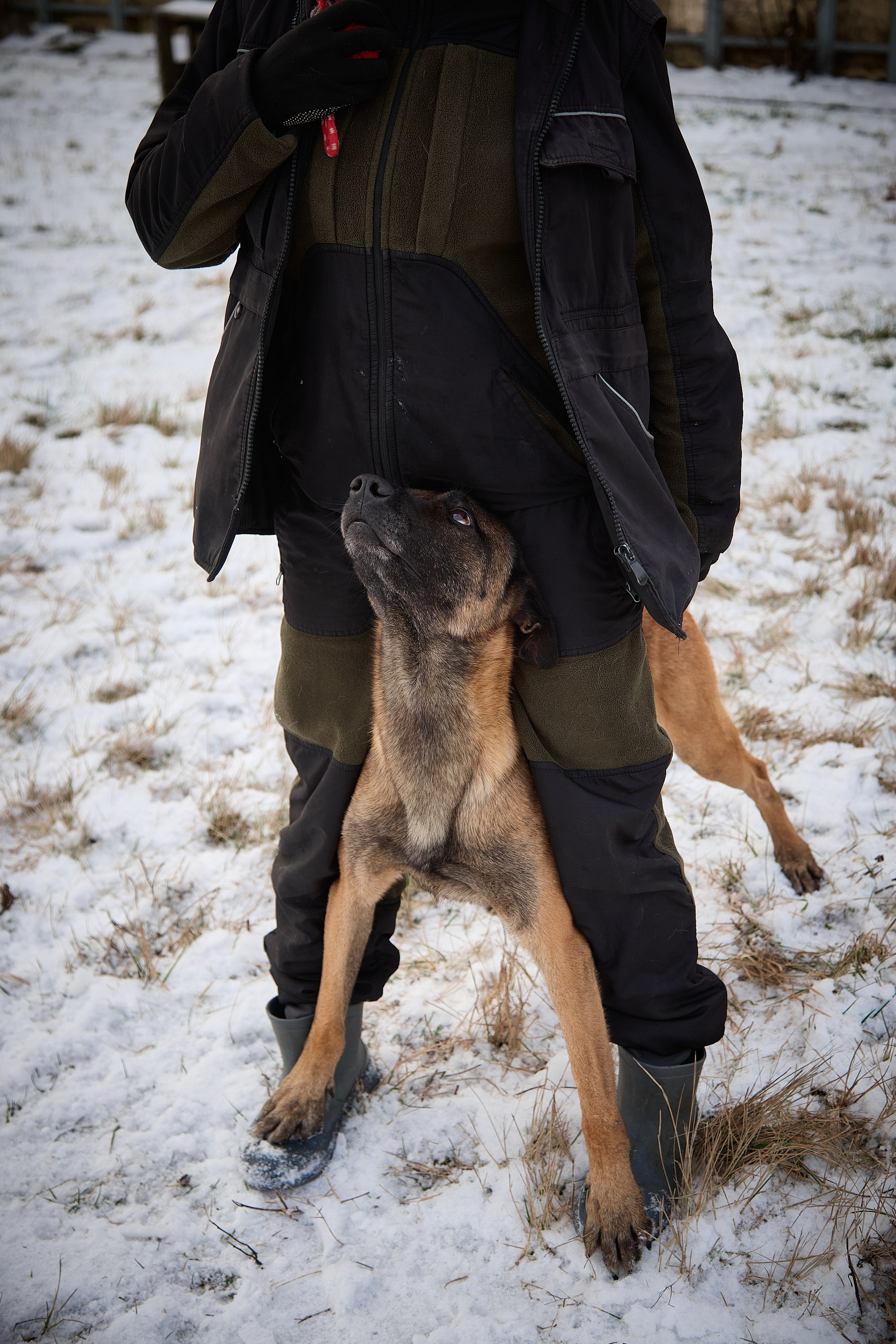 Юниор Профи 2025. Портретный фотограф Евгений Денисов