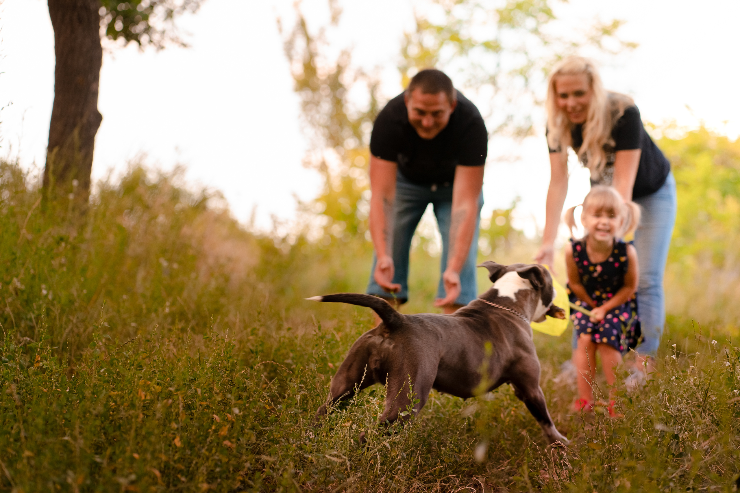 Шакира на прогулке. Семейный и свадебный фотограф в Москве Нина Гусева