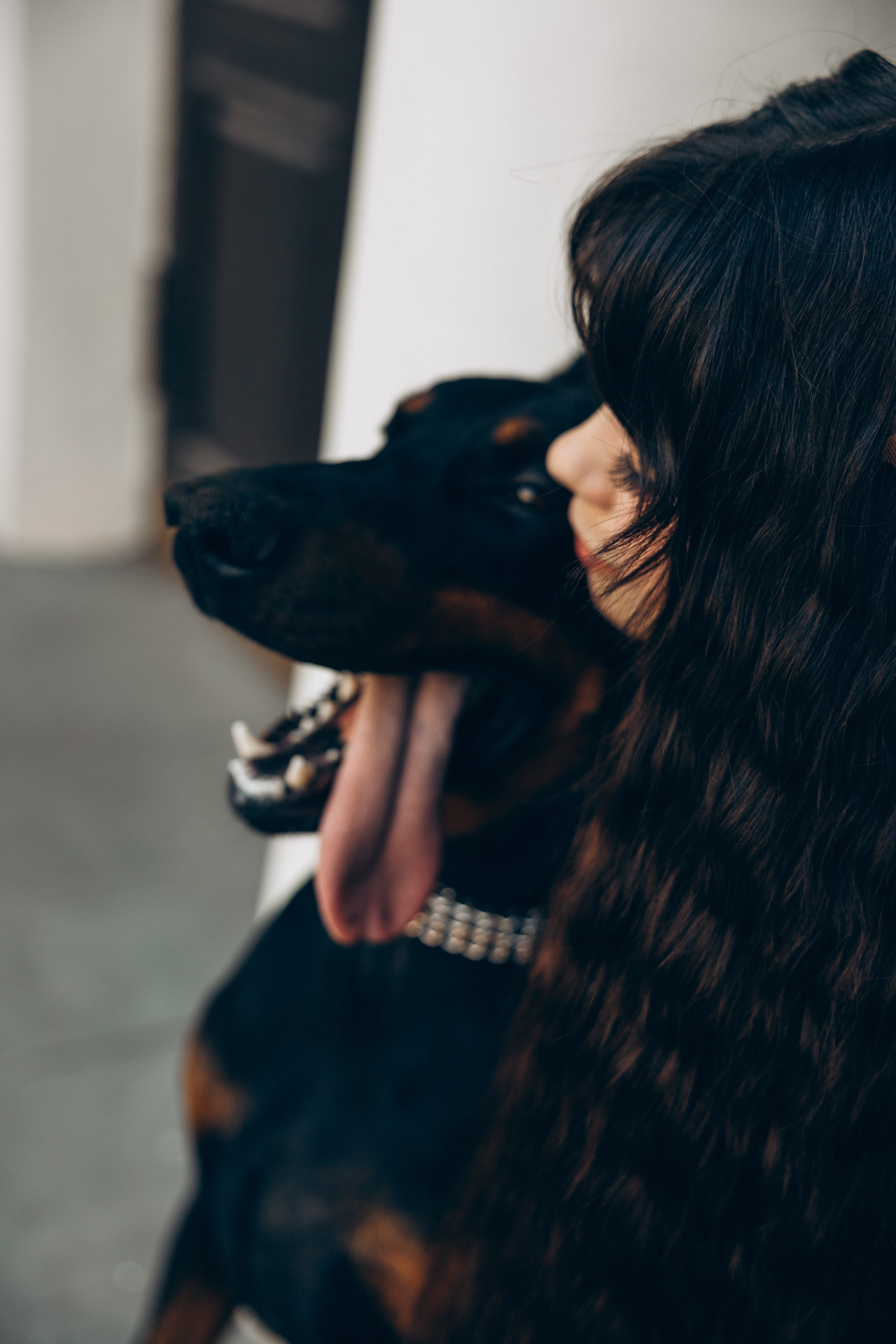 Фотосессия с доберманом. Свадебный, семейный фотограф в Иркутске Светлана Макаричева