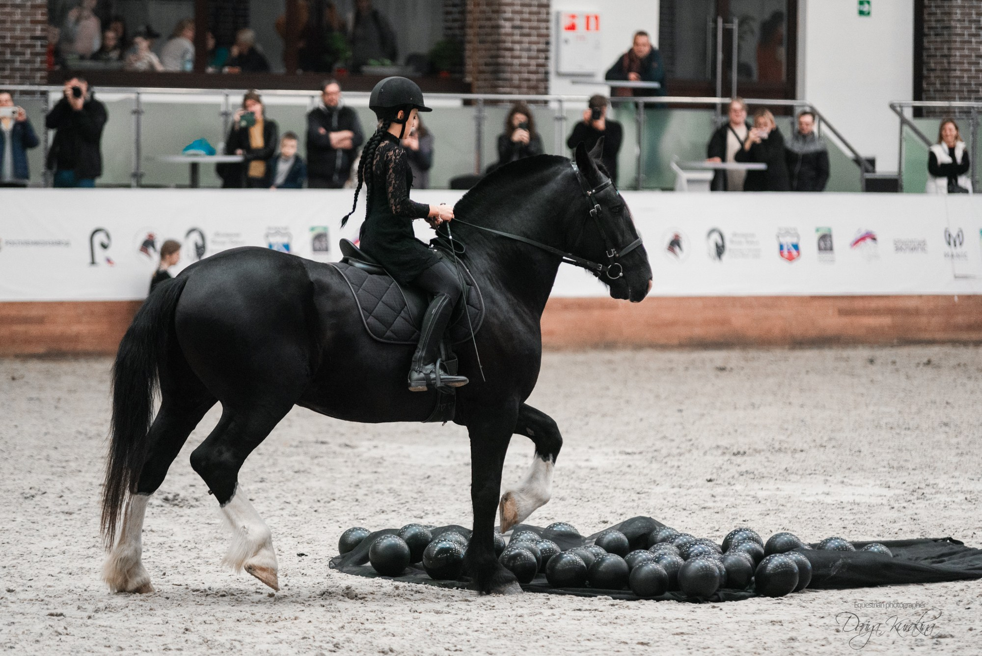 8-я международная выставка Конная Россия. Конный фотограф Куракина Дарья • Фотосессии с лошадьми