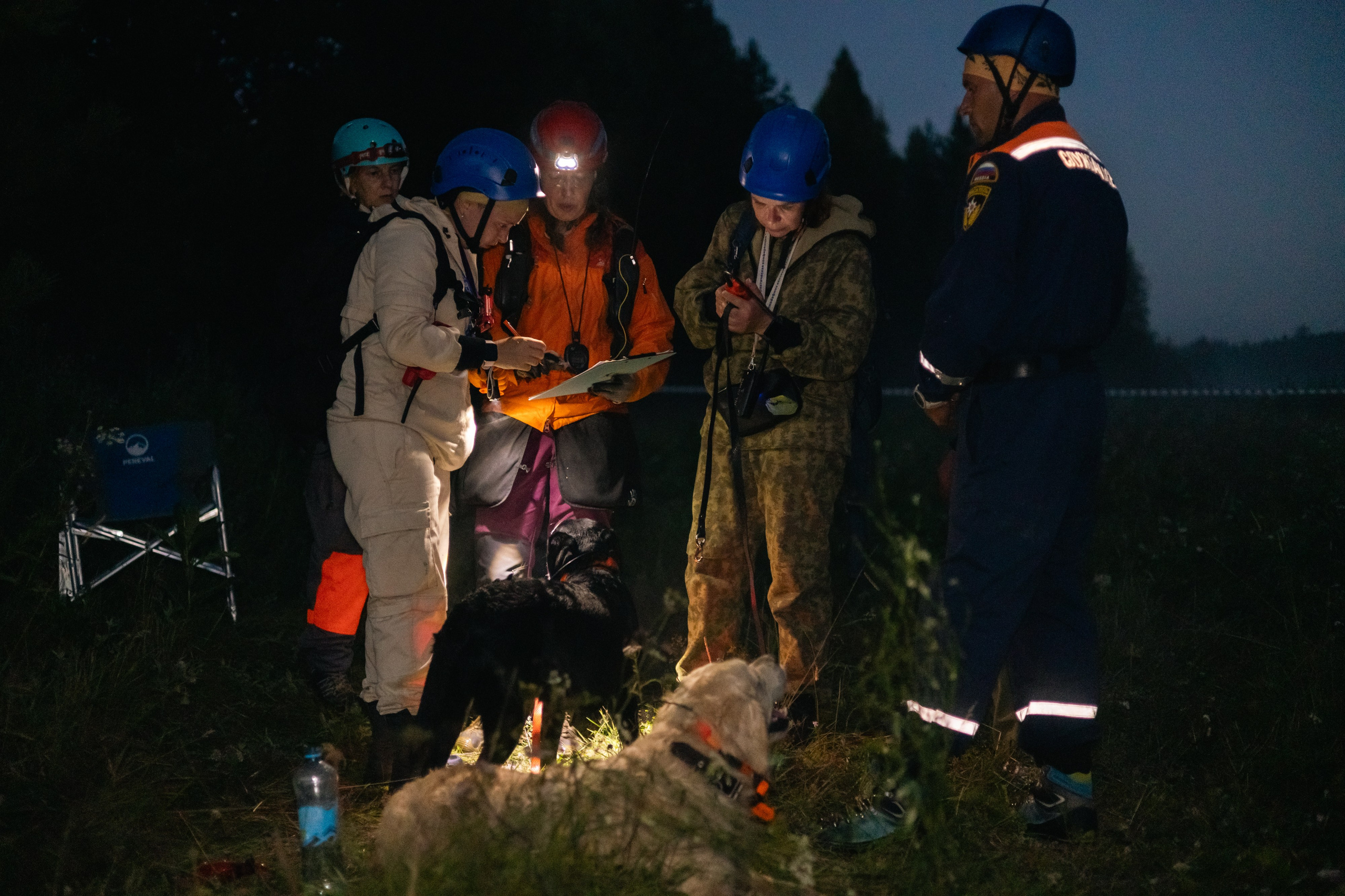 VI ОТКРЫТЫЕ КИНОЛОГИЧЕСКИЕ СОРЕВНОВАНИЯ. ЧЕЛЯБИНСКАЯ ОБЛАСТЬ 2025. Репортажный фотограф Наталья Лапцевич