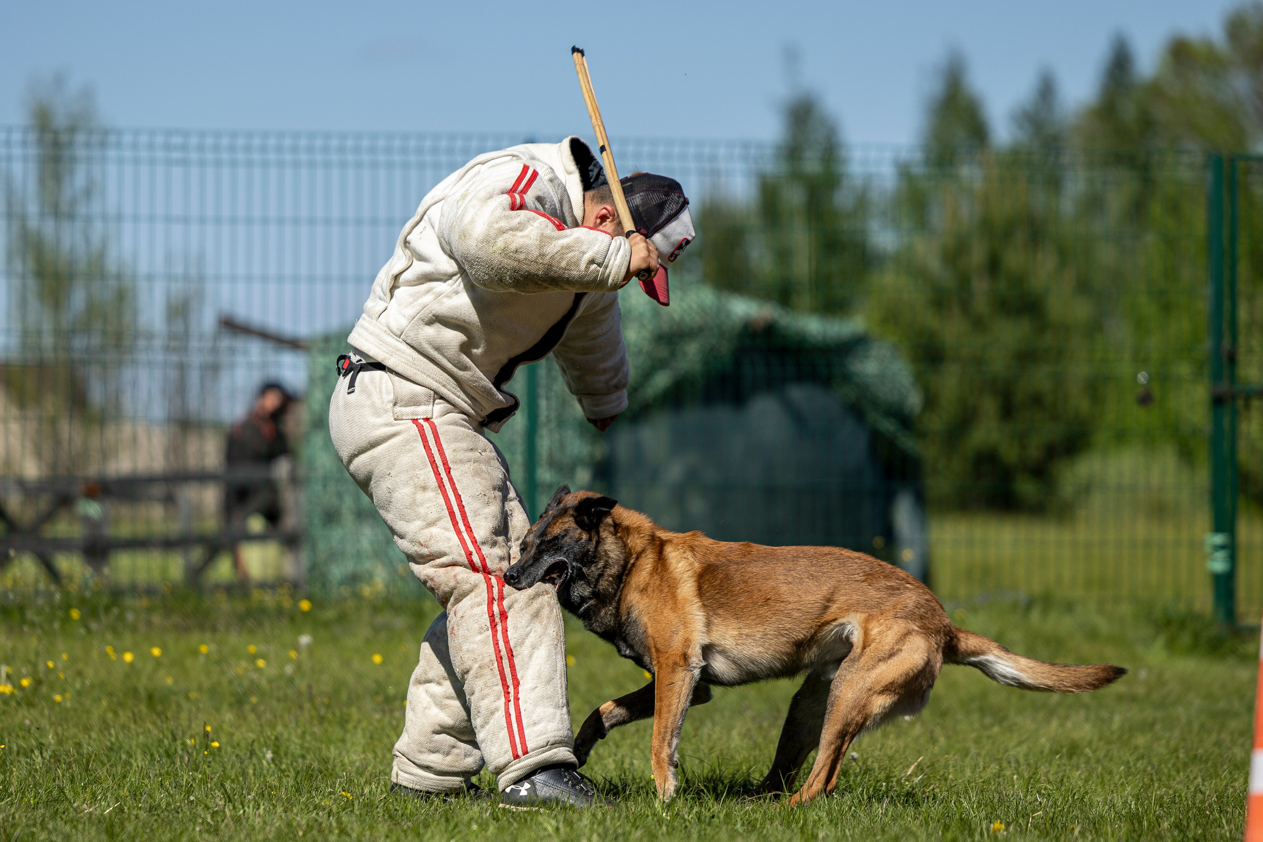 Испытания по мондьорингу в Нижнем Новгороде. Фотограф-анималист Анна Маринич