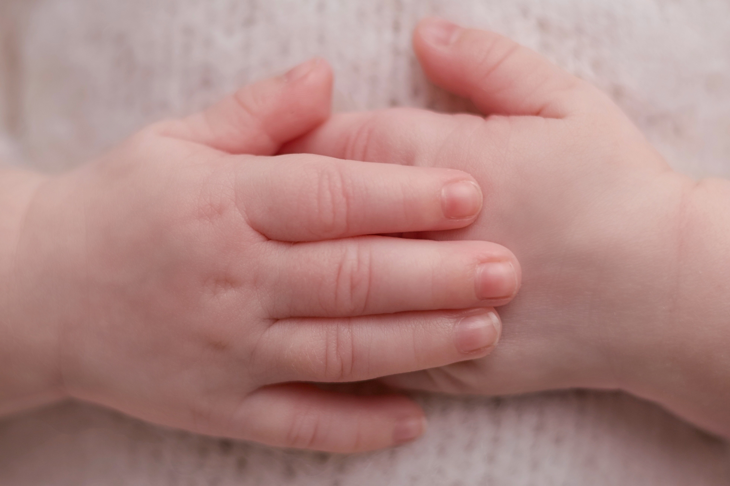 Давидова Лола Москва фотограф новорожденных