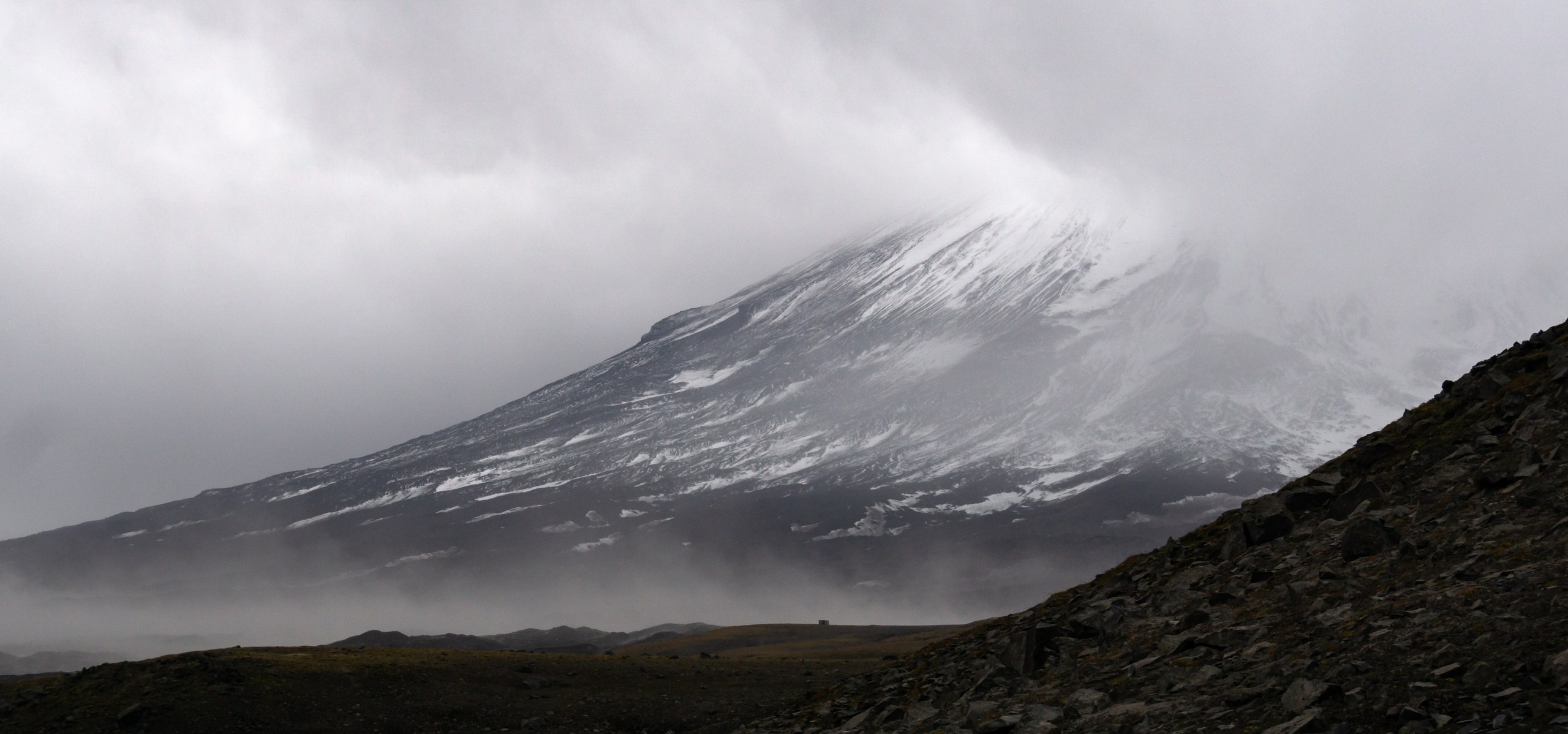 Begomvprofcom.wfolio.pro