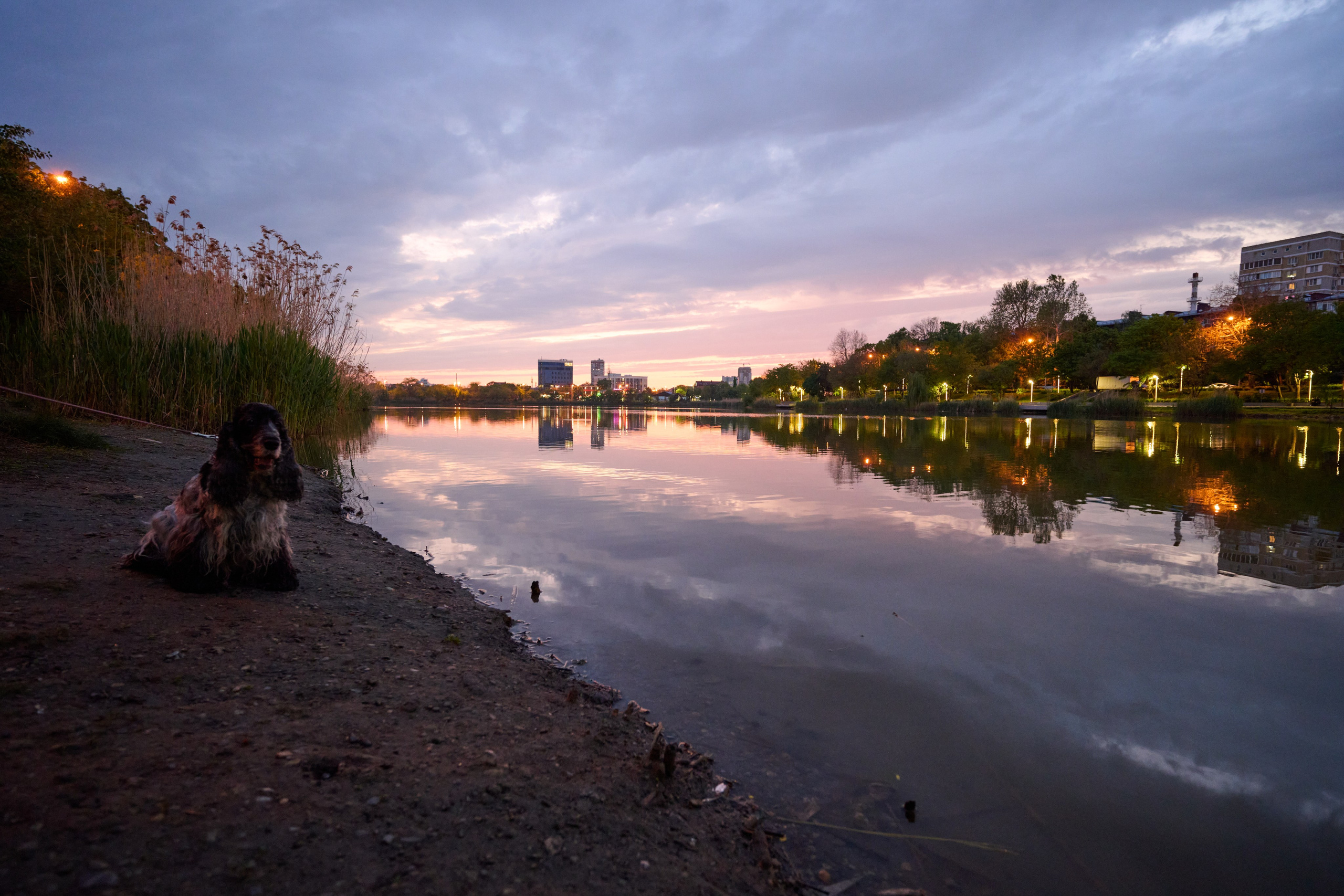 Краснодарский стрит