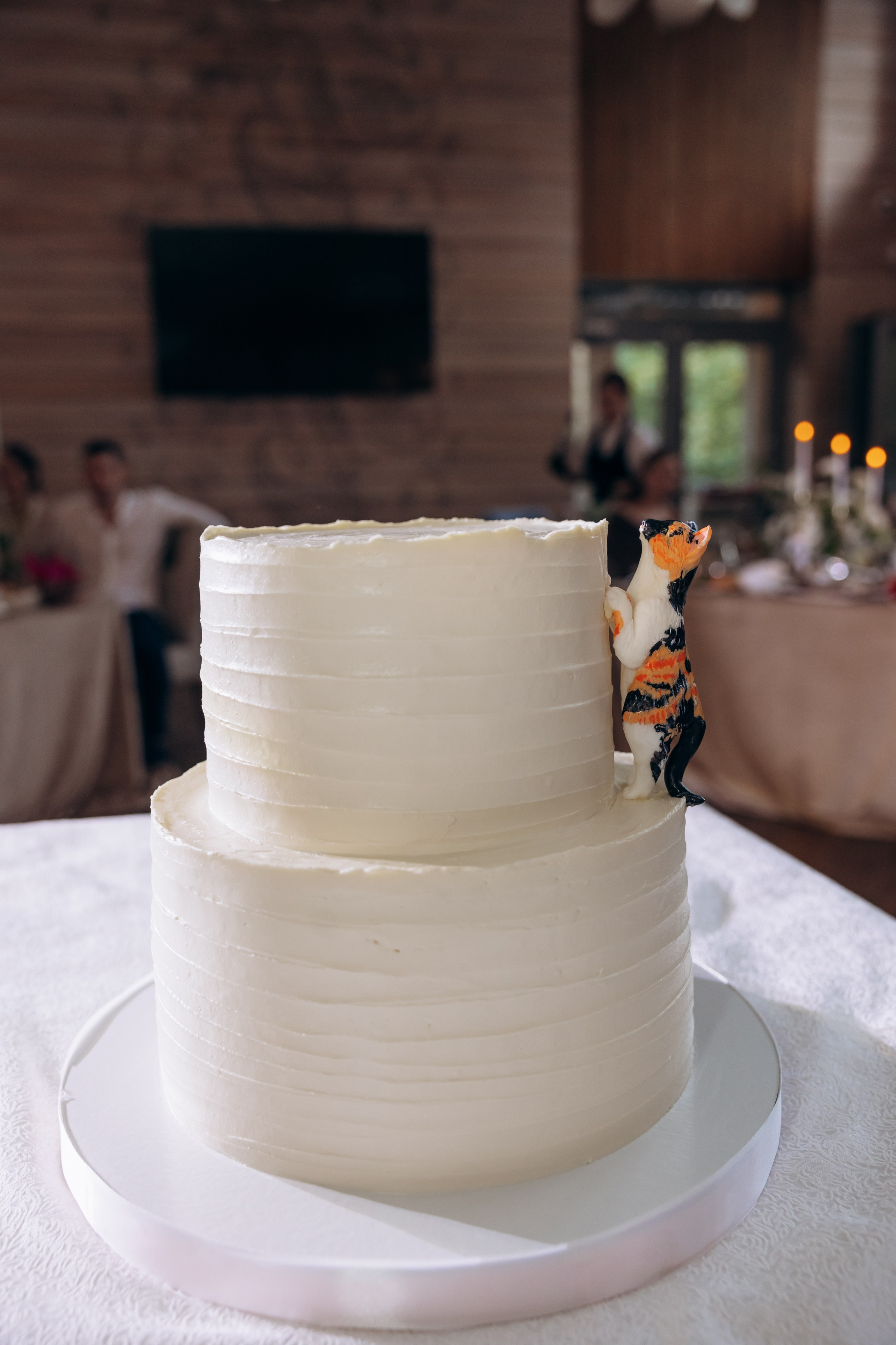 Владислав и Алёна 7 сентября 2024. Фотограф в Калининграде свадебная фотография, репортажная, фотосессии