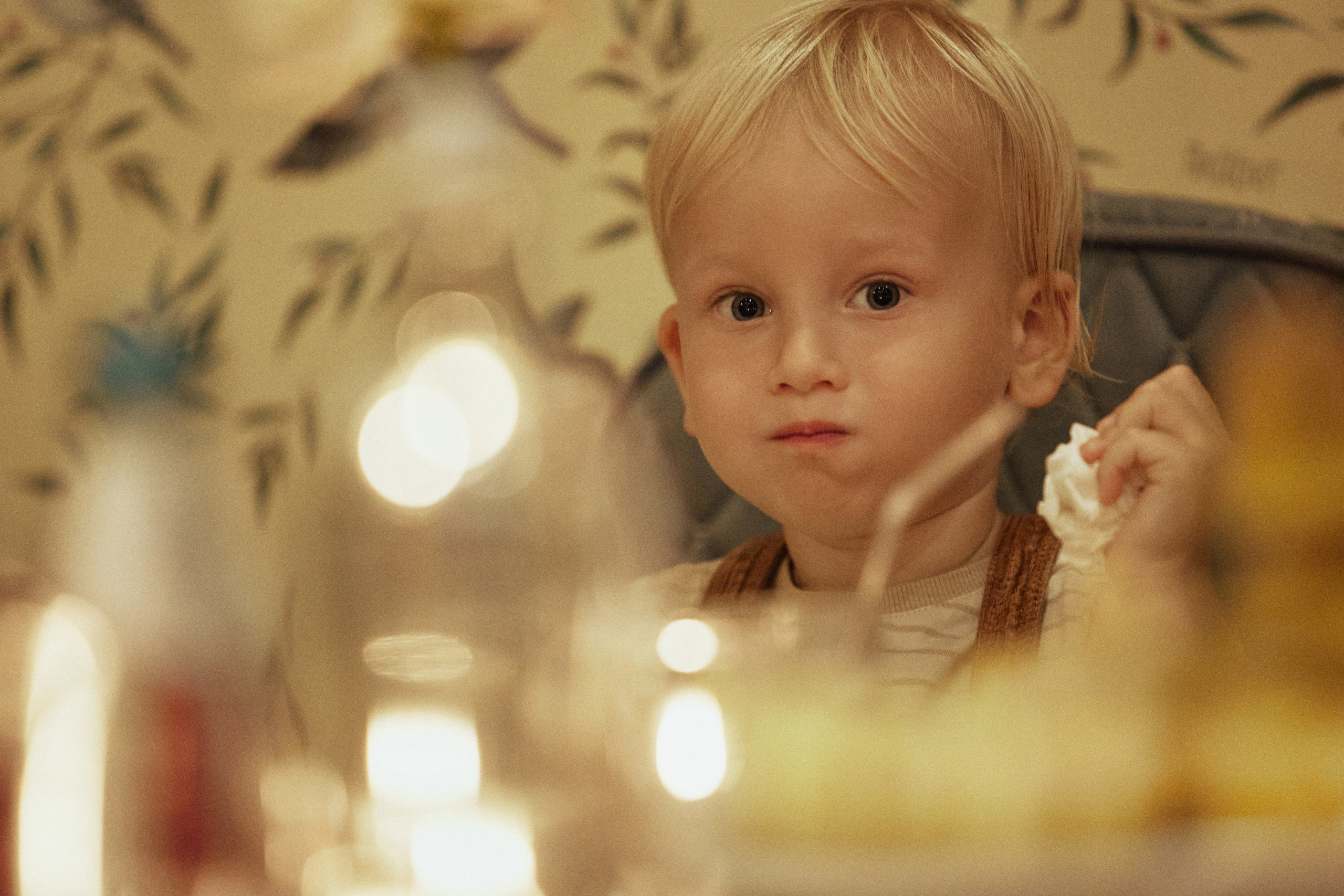 A NEW FAMILY TREE. Дмитрий Мазуркевич: Профессиональный Репортажный Фотограф