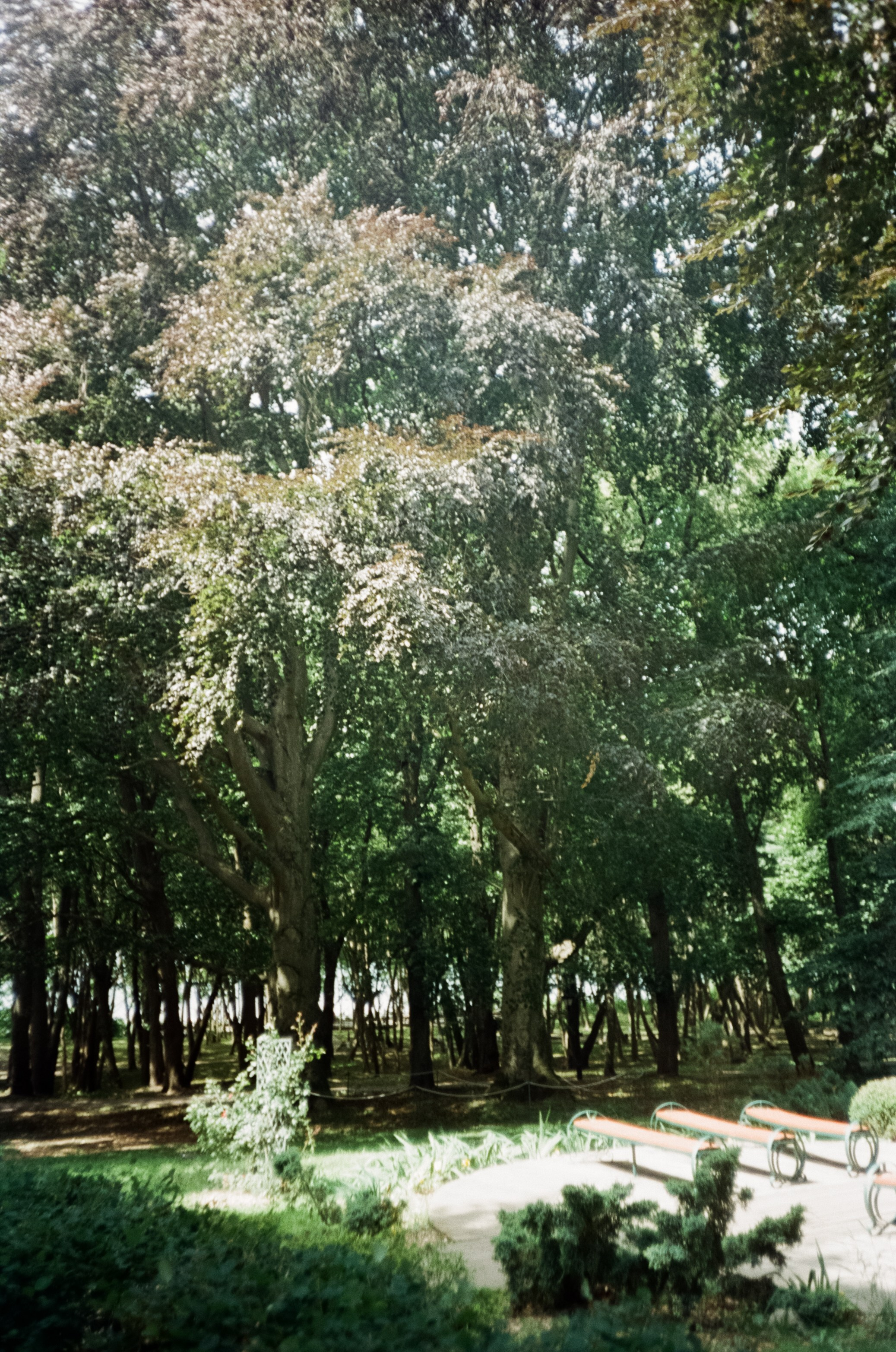 Центральный пляж и парк Беккера в Янтарном. Улочки Светлогорска. Фотограф-документалист Мария Осокина