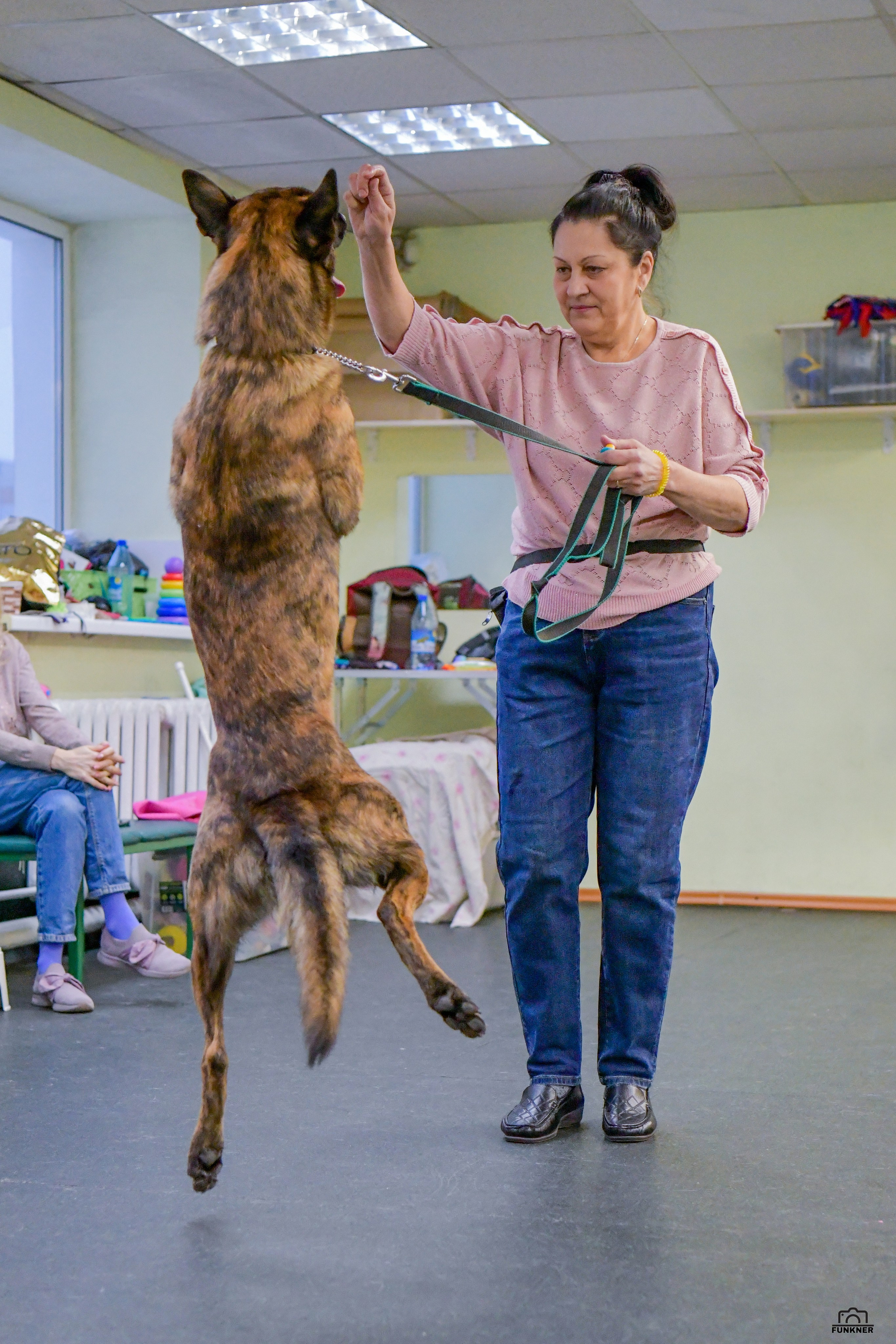 Кинологический клуб «Бодрый хвост». Свой взгляд через объектив