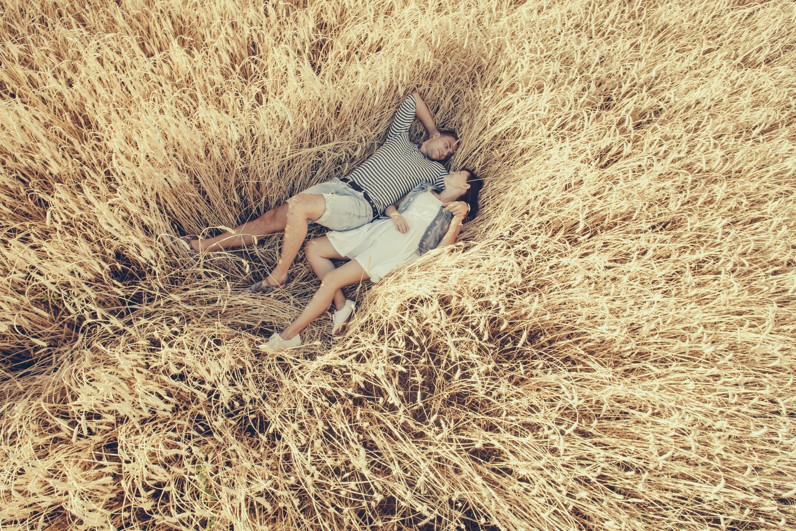 Поля пшеницы М5. Wedding photographer