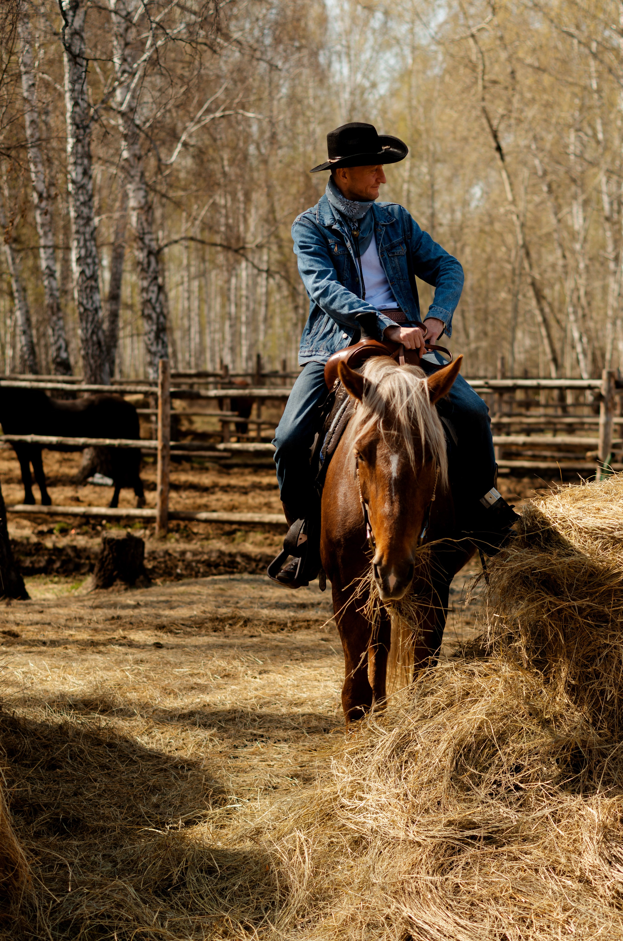 Мужской портрет: разное. Фотограф Марина Доглядная Челябинск фотосессии с лошадьми, мотоциклами