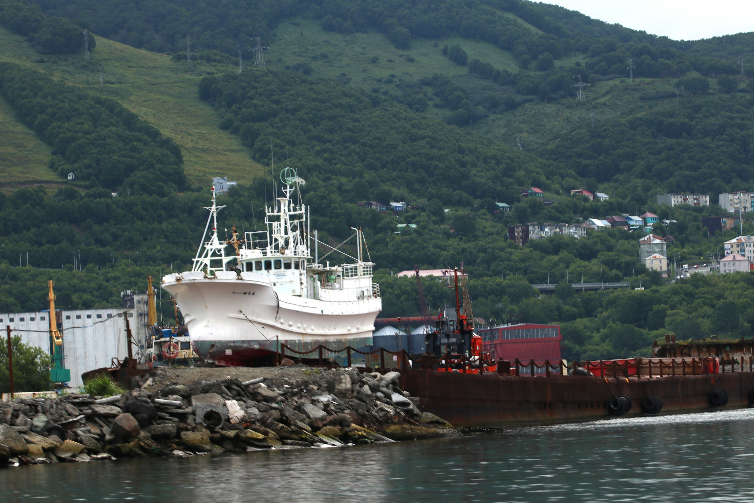 Камчатка и о. Парамушир. Июль 2024. Путешественник-фотограф из Санкт-Петербурга Татьяна Свистулина