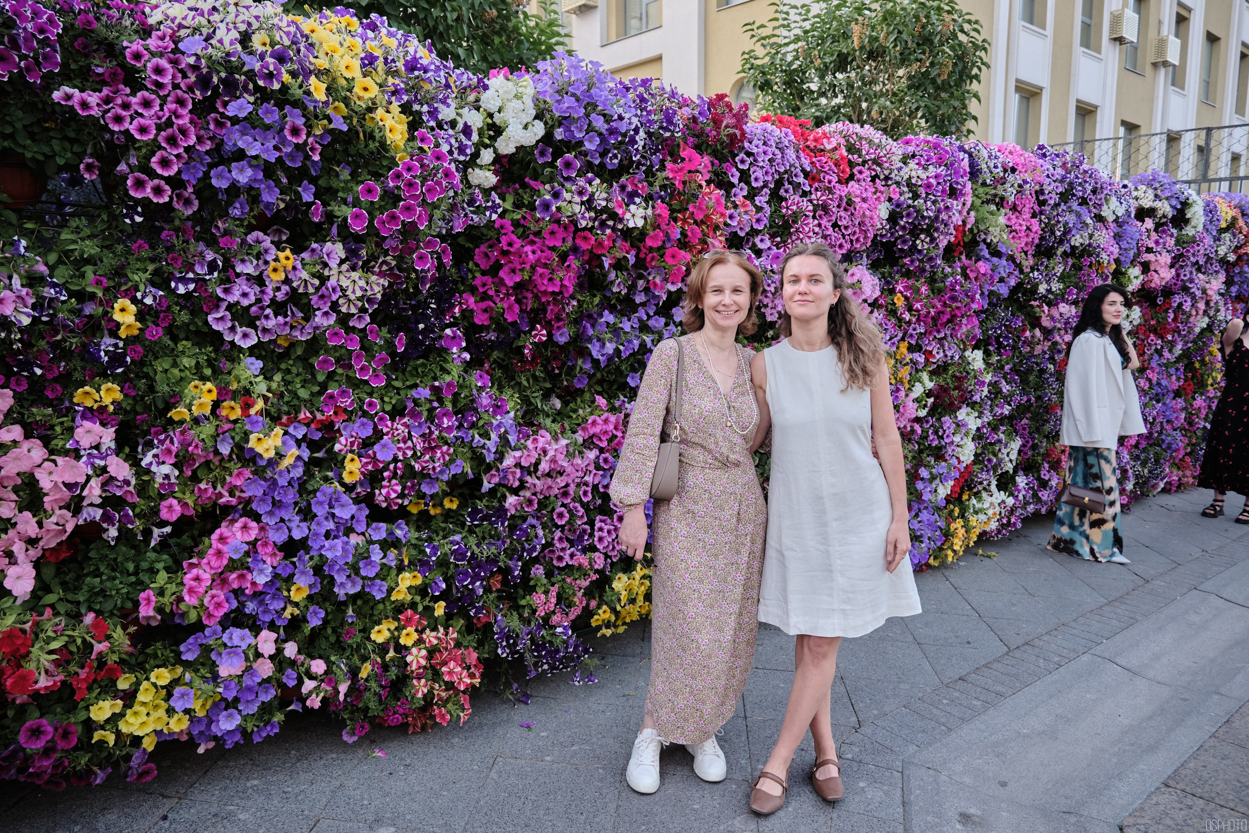 Бульвары для всех l Лето в Москве. Фотографъ Сергѣевъ. Поймать мгновеніе