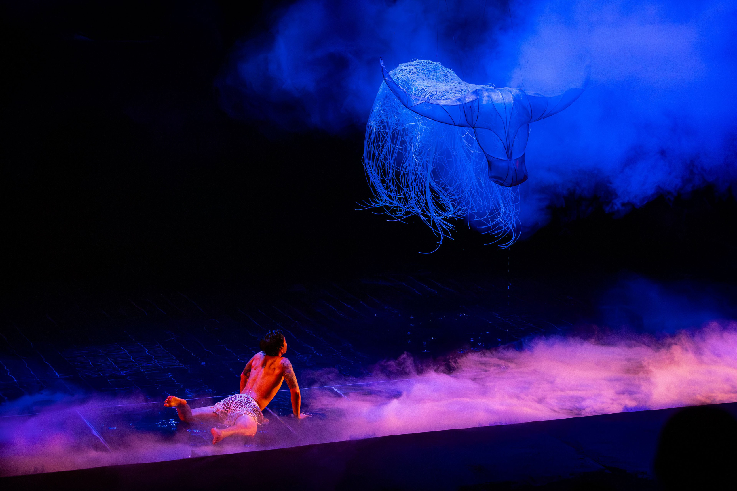 Вьетнам (зима 2025-2026). Фотограф Виноградов Константин