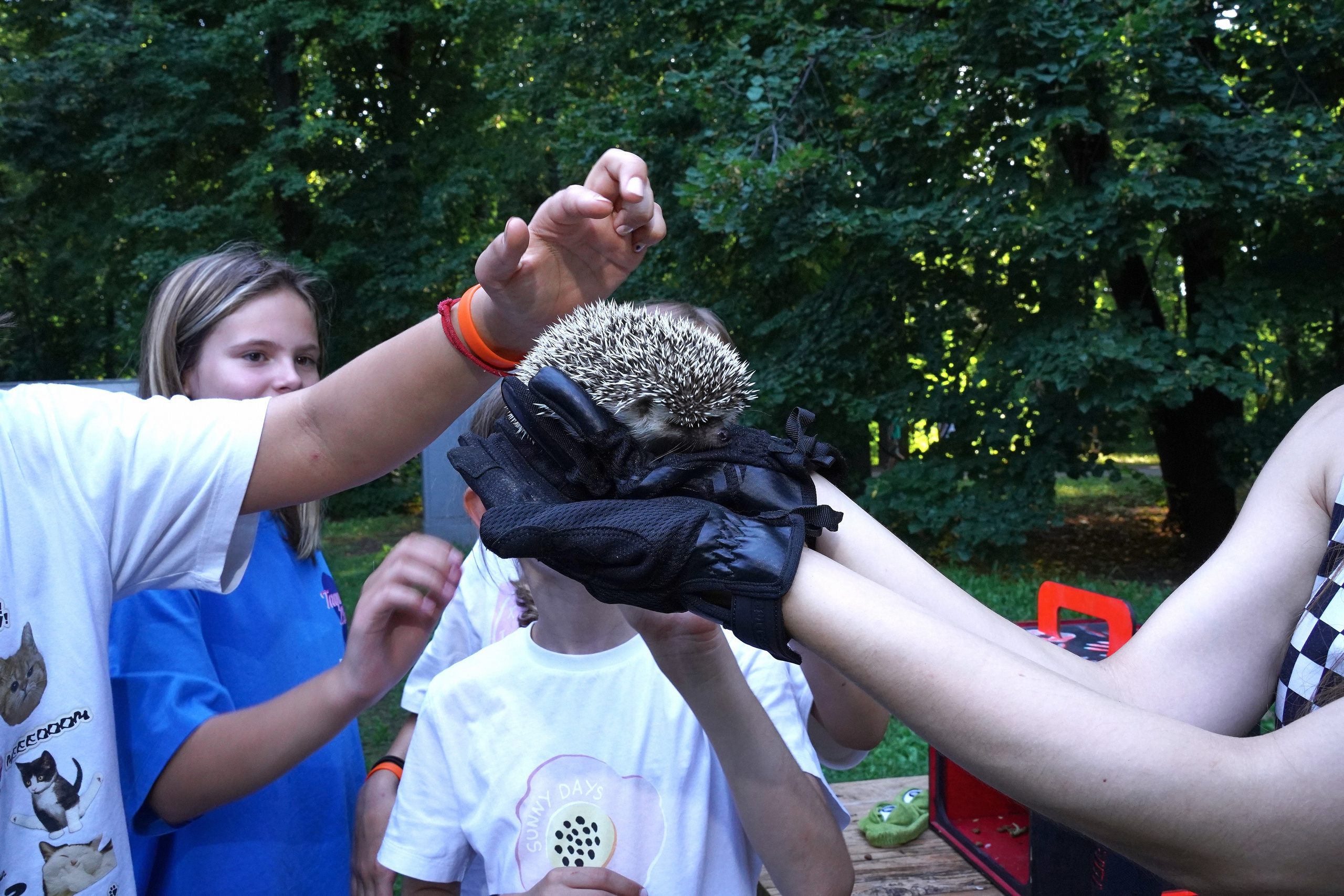 Екатерина детский день рождения. Фотограф