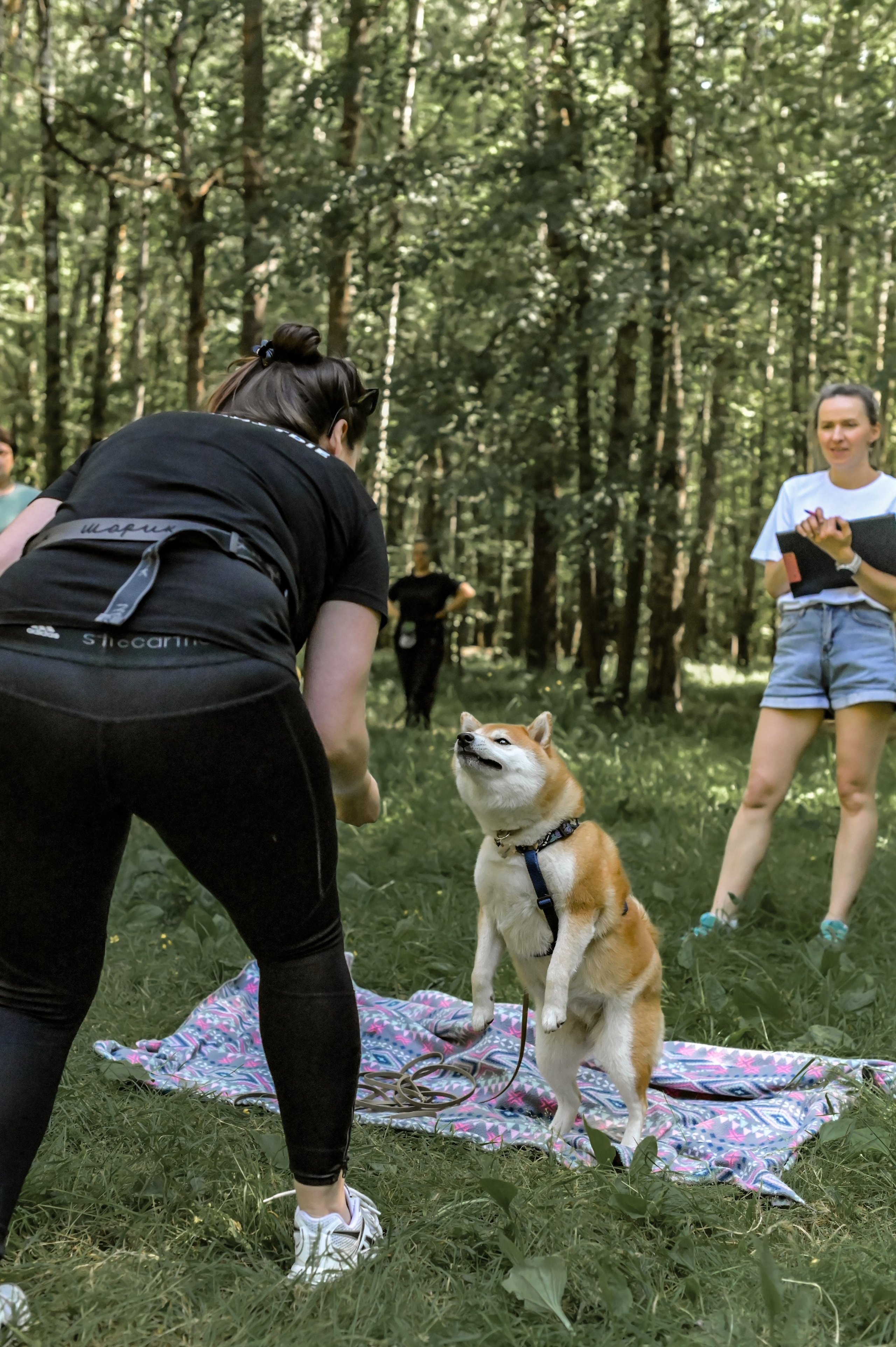 Кинологические соревнования. Семейный и репортажный фотограф в Москве Анастасия Трубкина