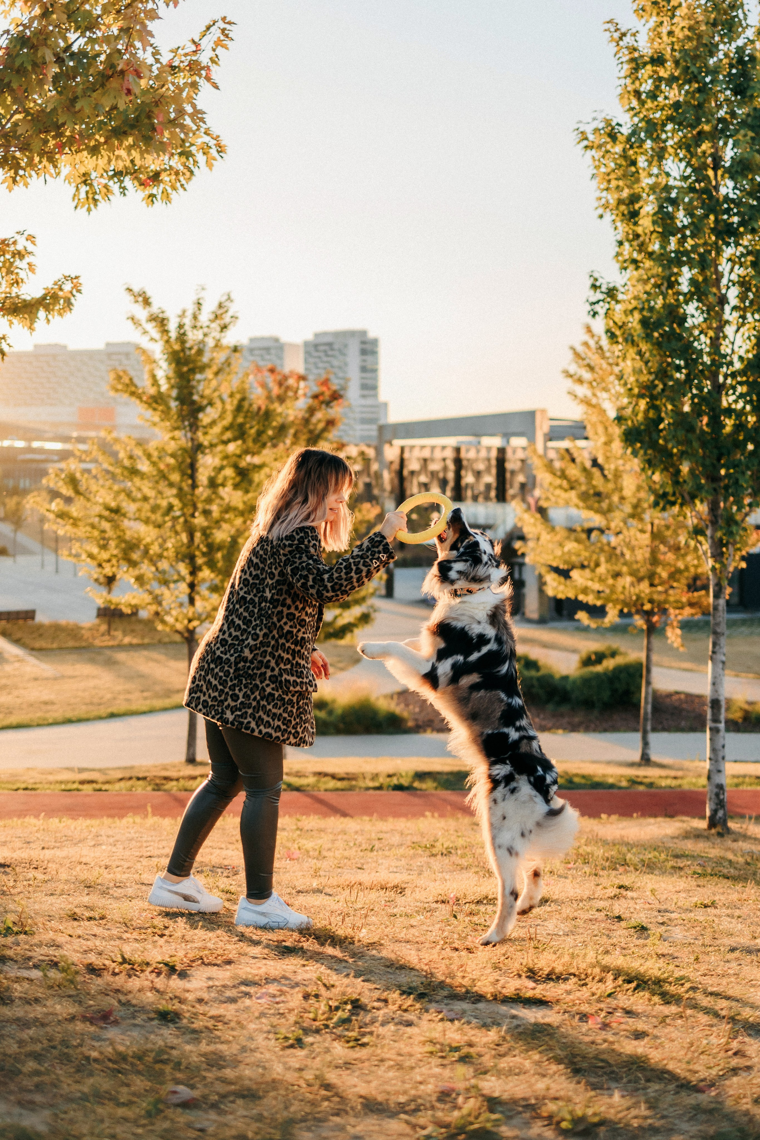 Аня, Чарли и Ева. Фотограф-анималист Елена Радченко, Москва