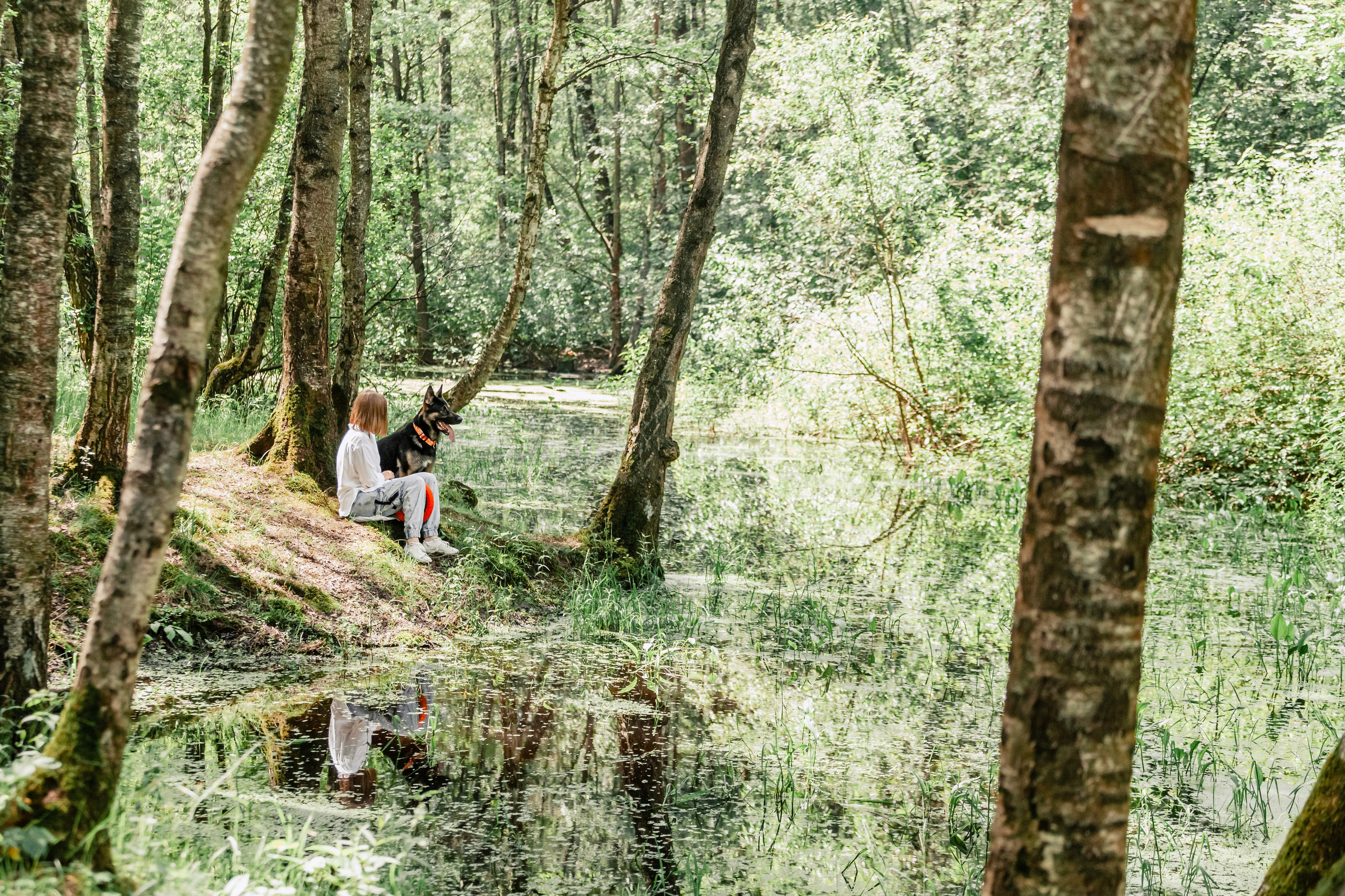 Лесная летняя фотопрогулка. Фотограф-анималист Татьяна Степанова
