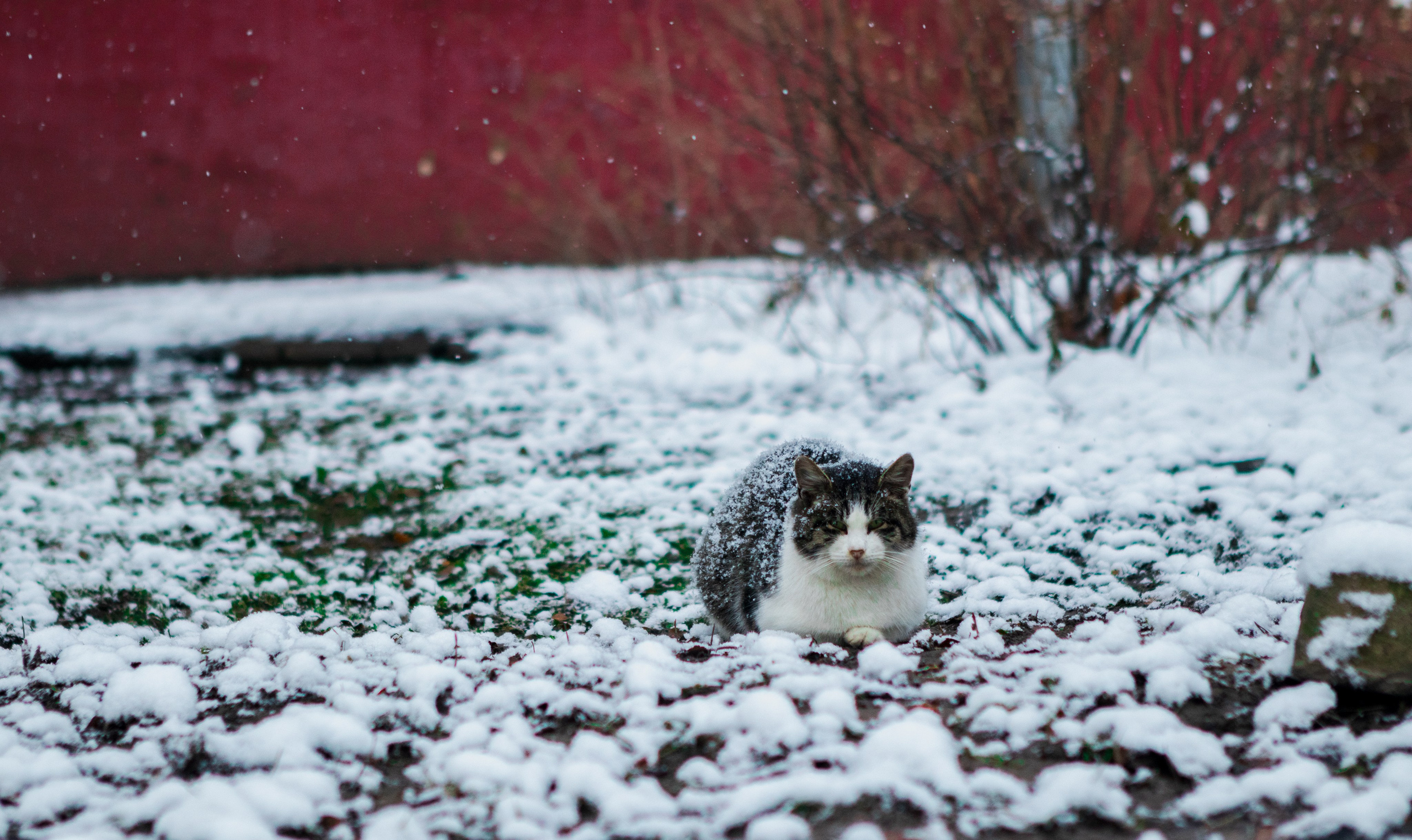 Авторская фотография и эстетика Петербурга | Роман Карбышев. Репортажный фотограф | Снимки за 3 дня | СПБ и ЛО