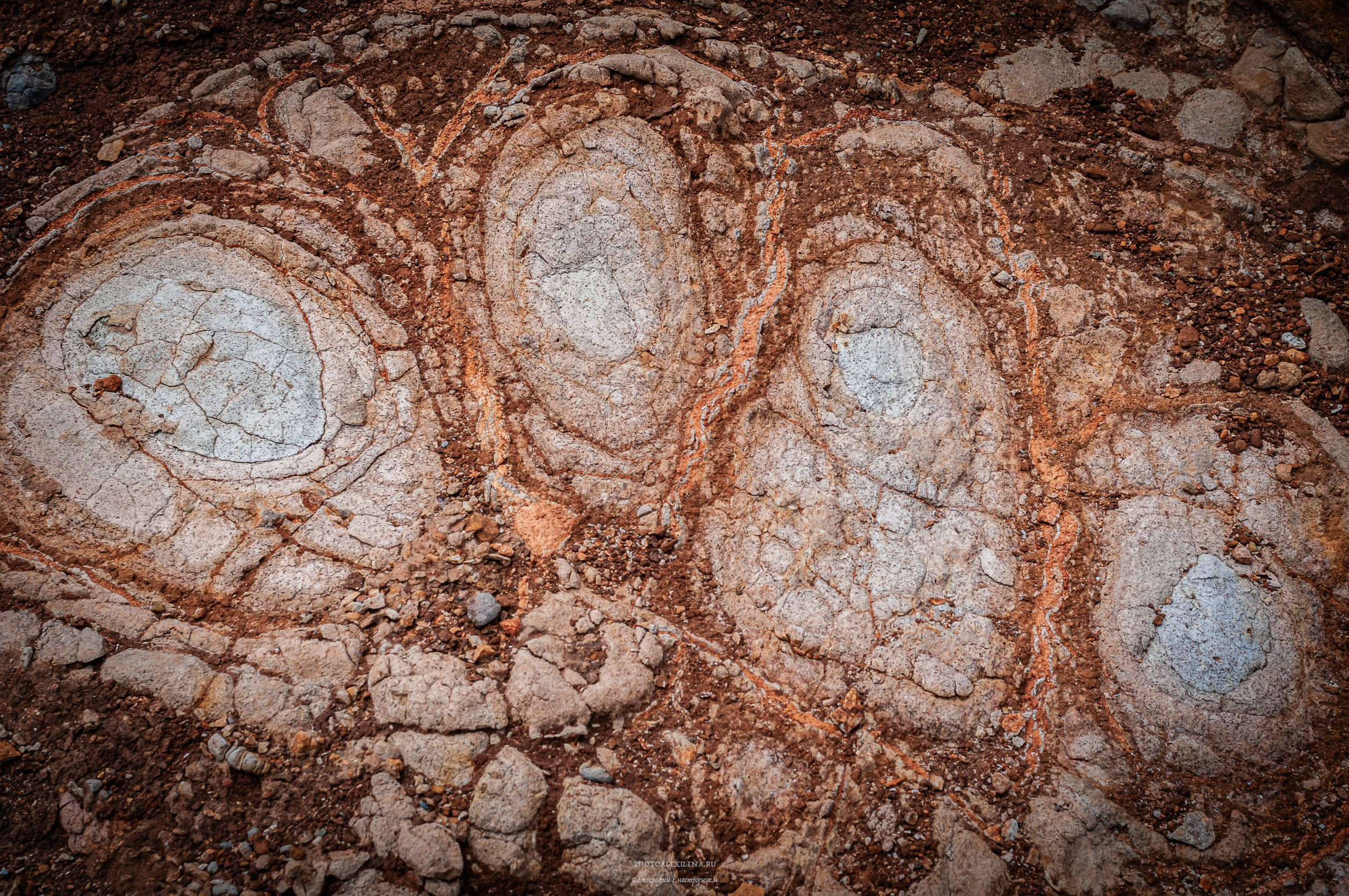 Осязаемая красота. Авторские стильные фотокартины