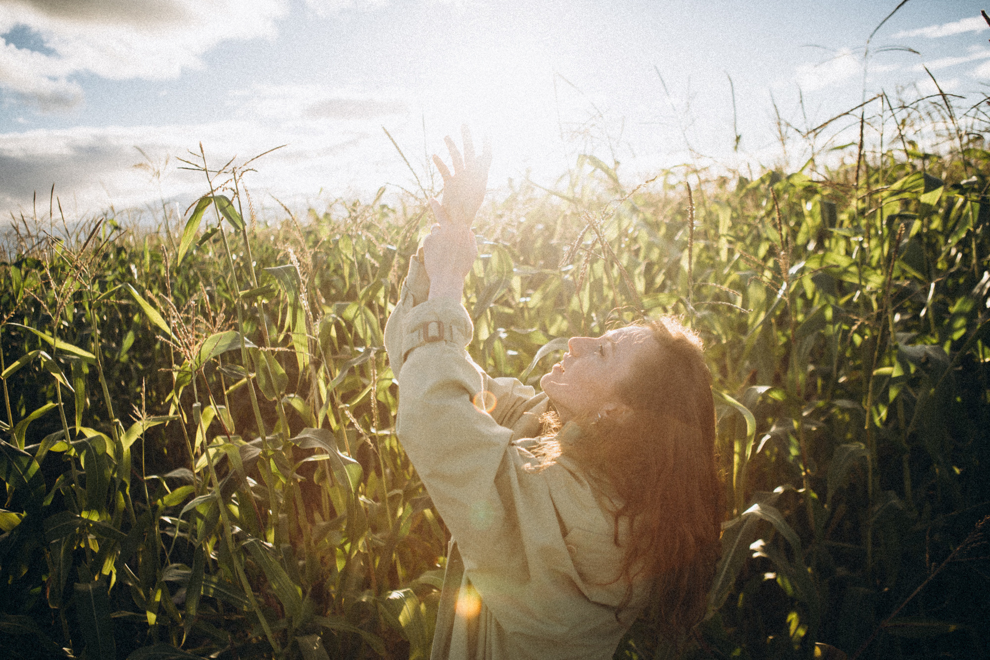 В кукурузном поле. Даша Яковенко Фотограф Спб