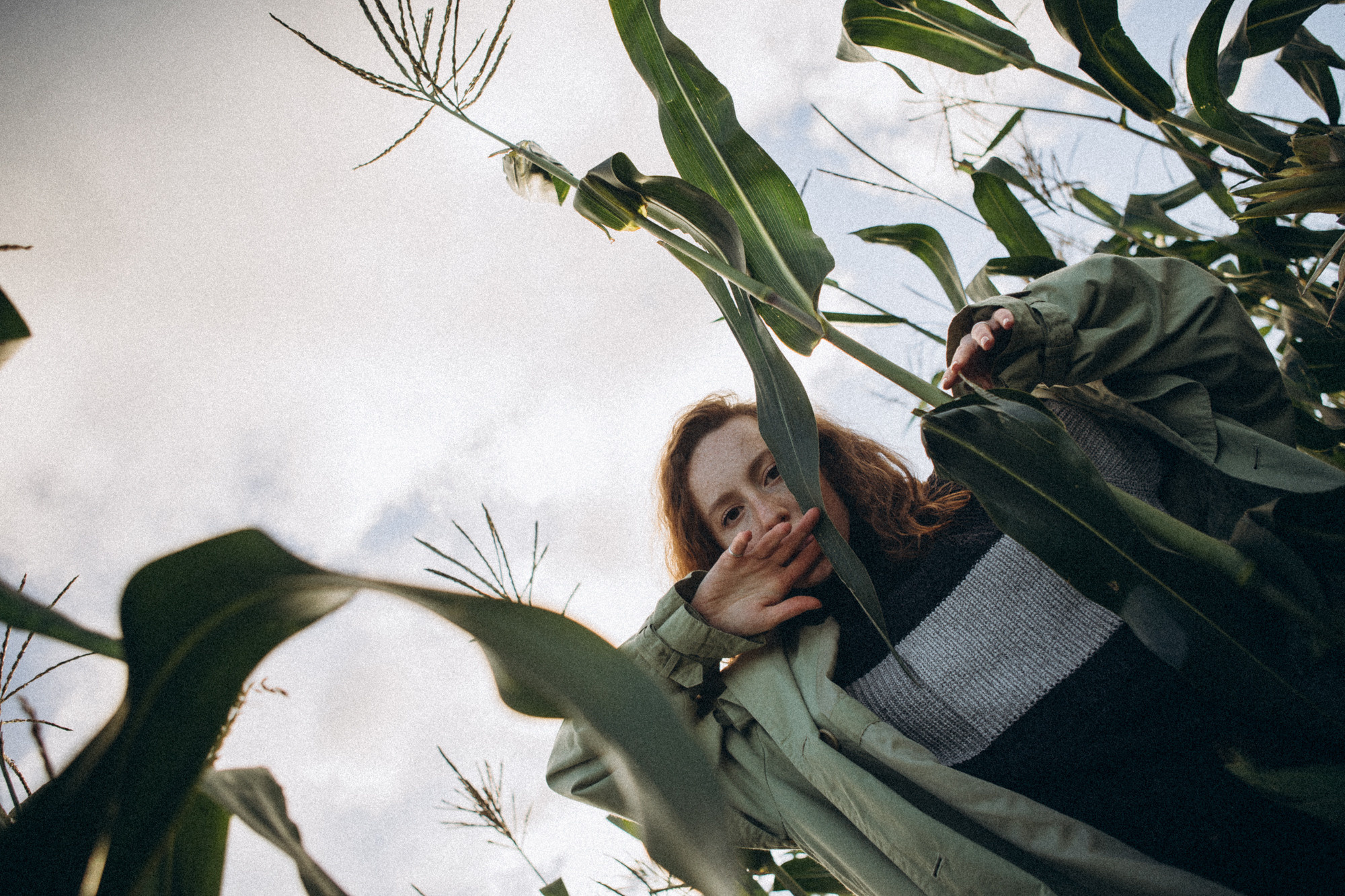 В кукурузном поле. Даша Яковенко Фотограф Спб