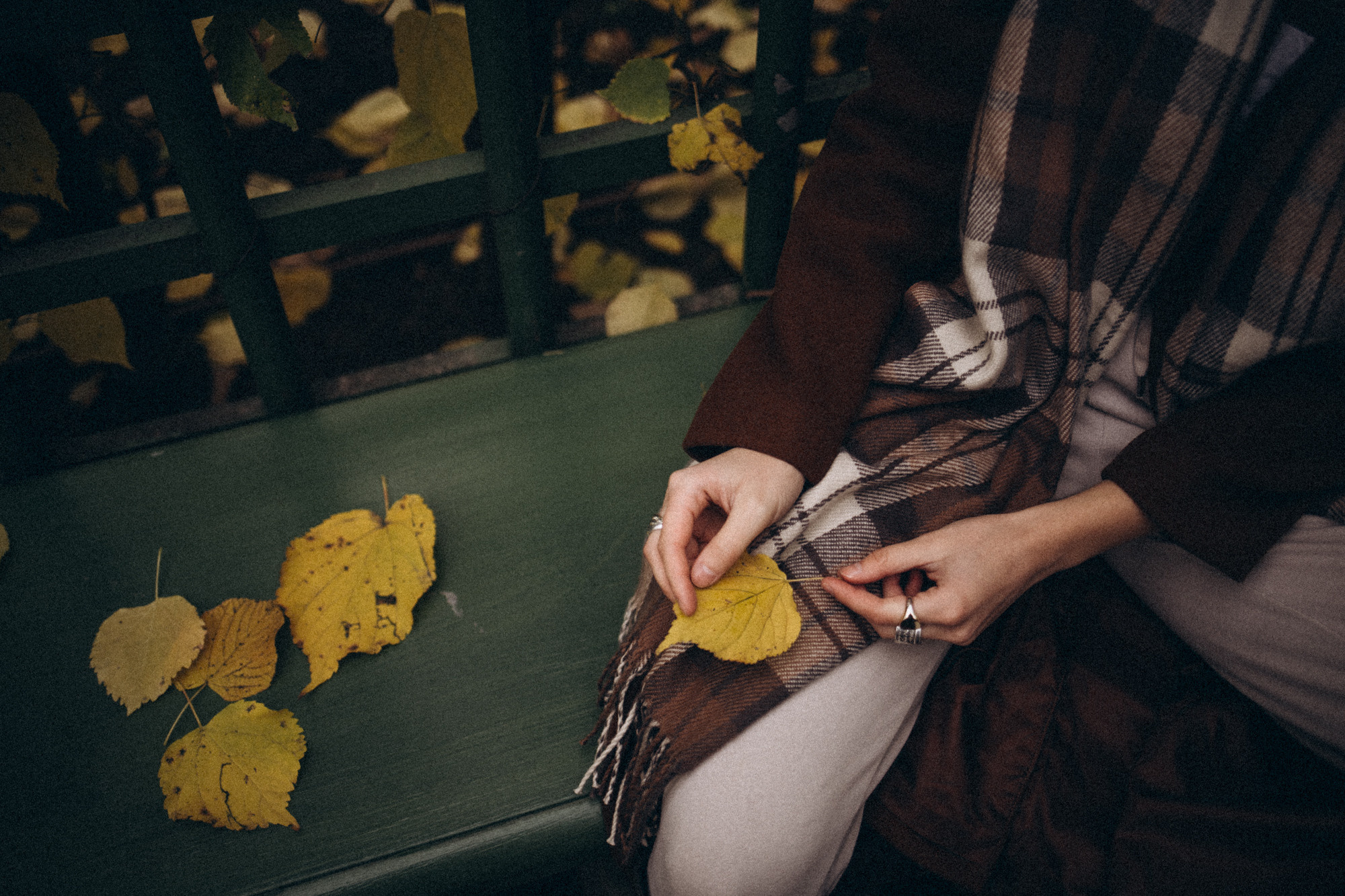 Летний сад осенью. Даша Яковенко Фотограф Спб