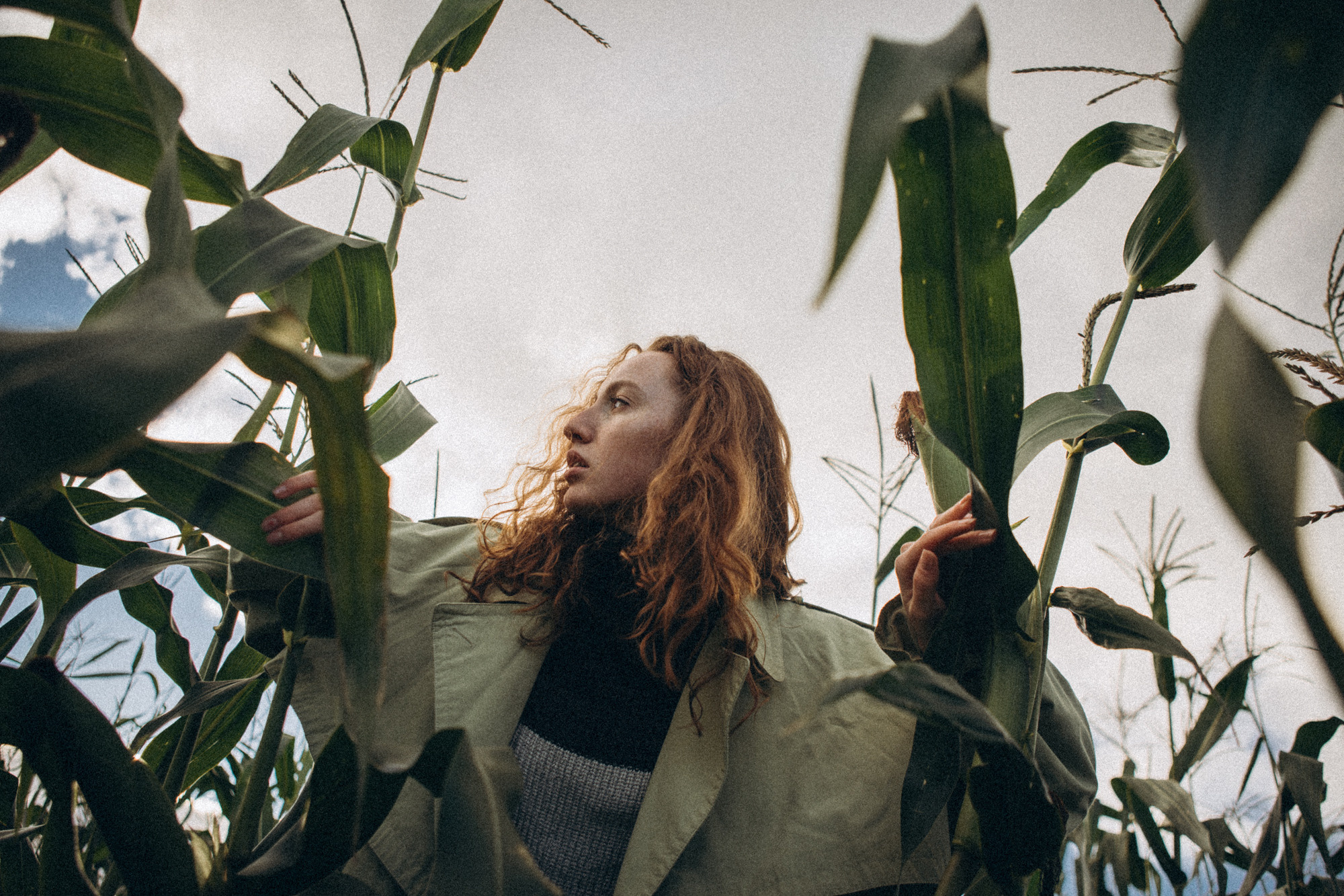 В кукурузном поле. Даша Яковенко Фотограф Спб
