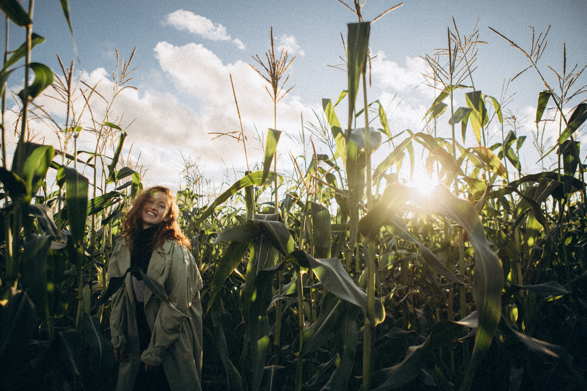 В кукурузном поле. Даша Яковенко Фотограф Спб