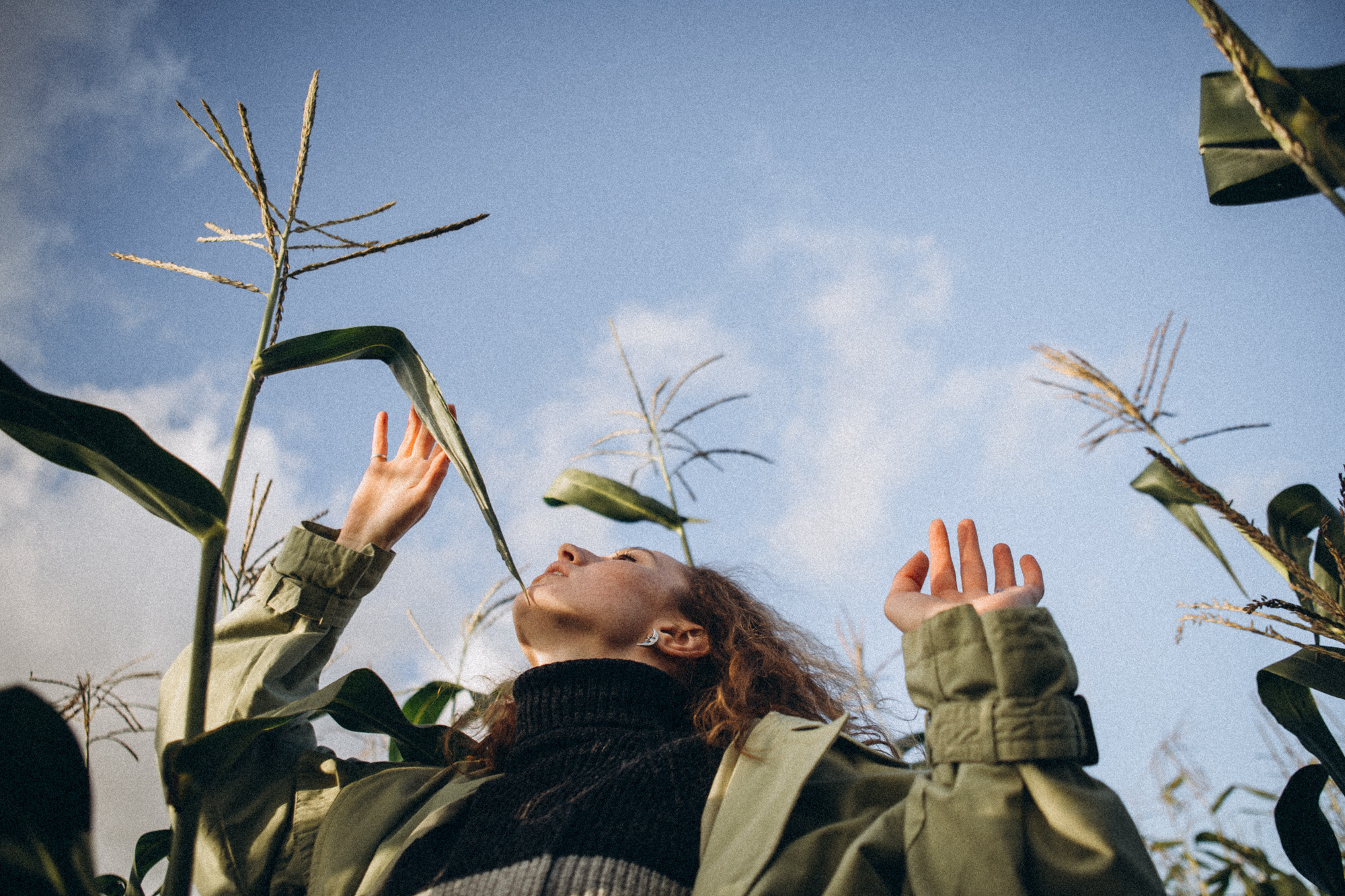 В кукурузном поле. Даша Яковенко Фотограф Спб